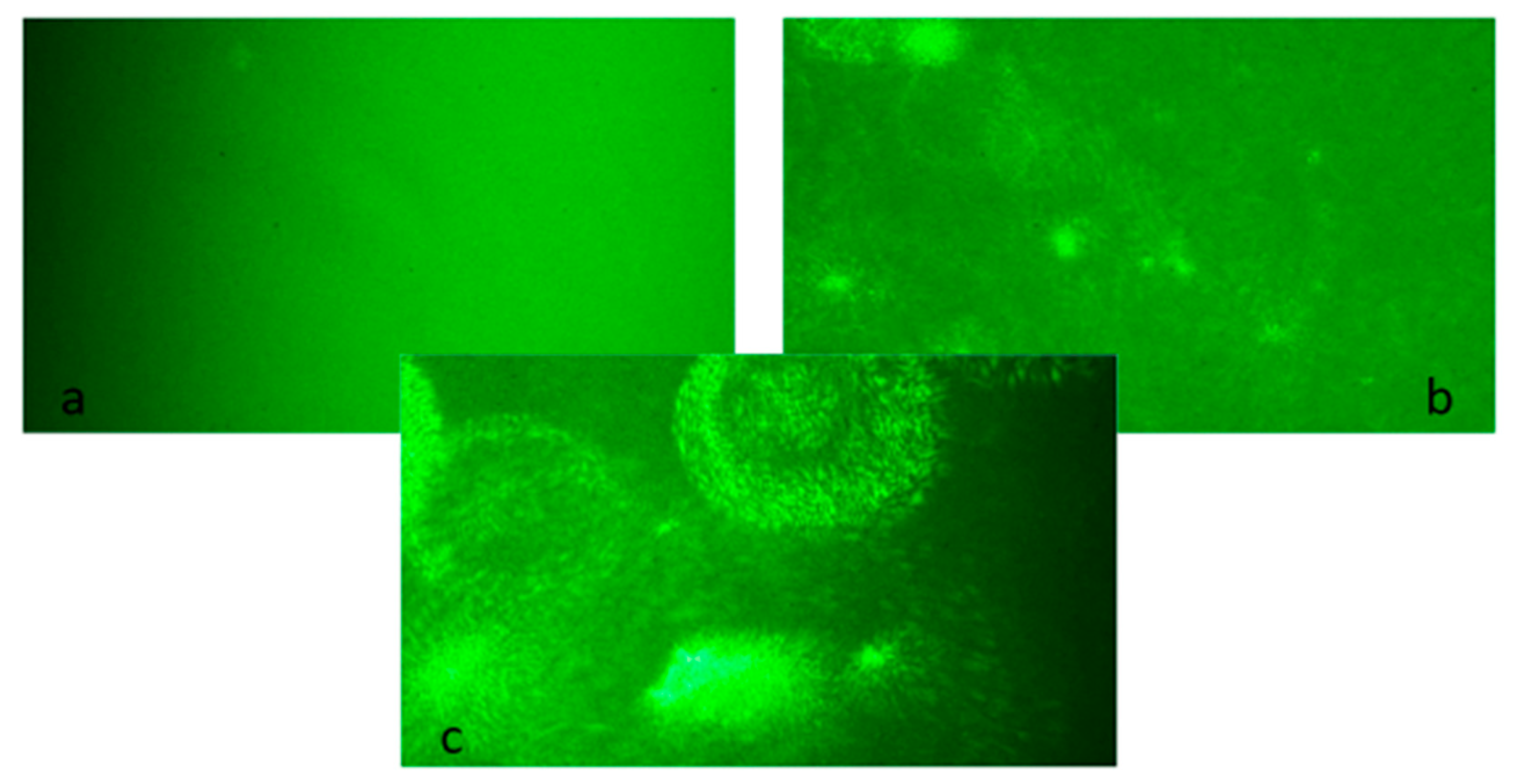 Materials 12 02981 g013