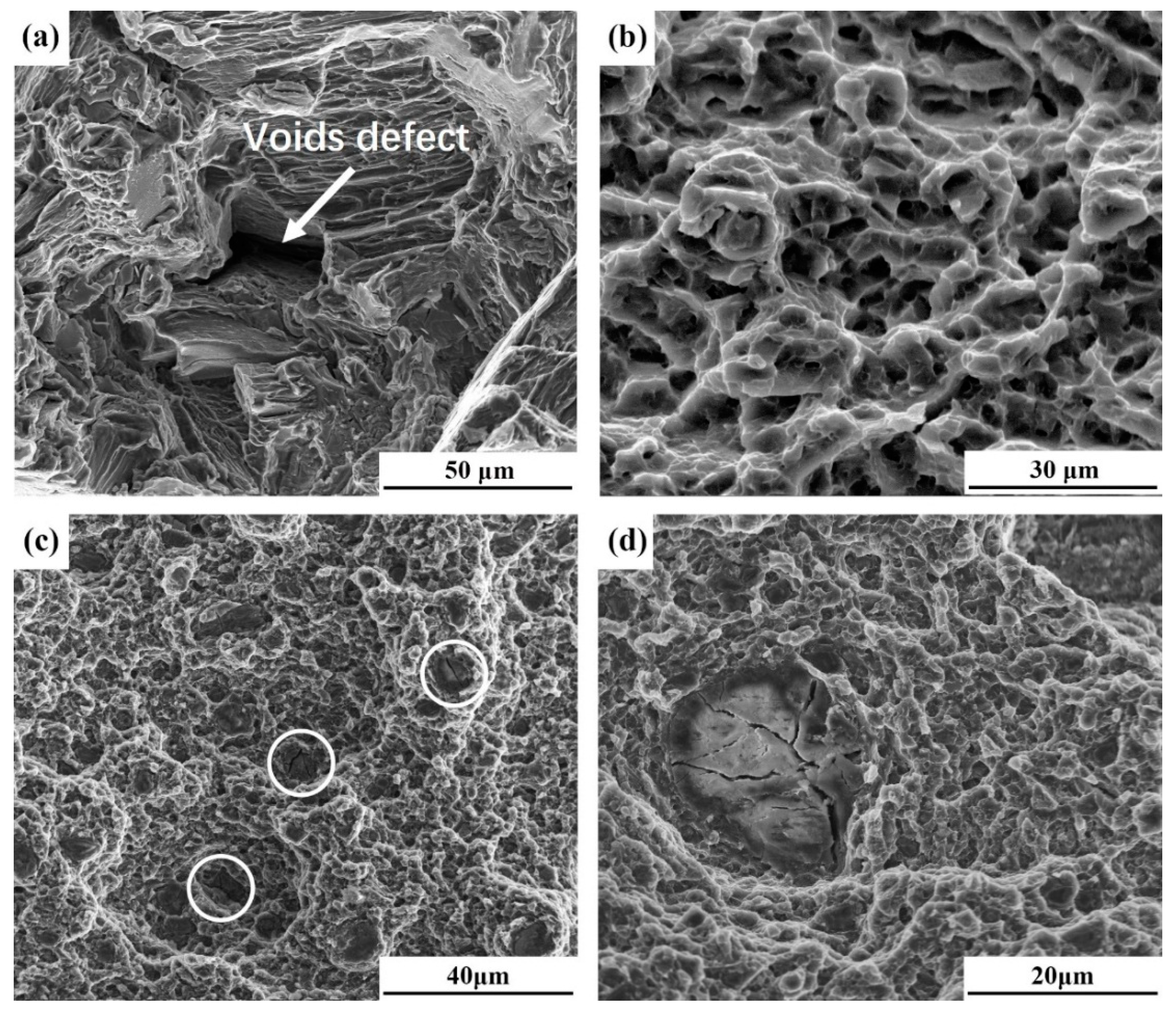 Materials 12 02994 g008