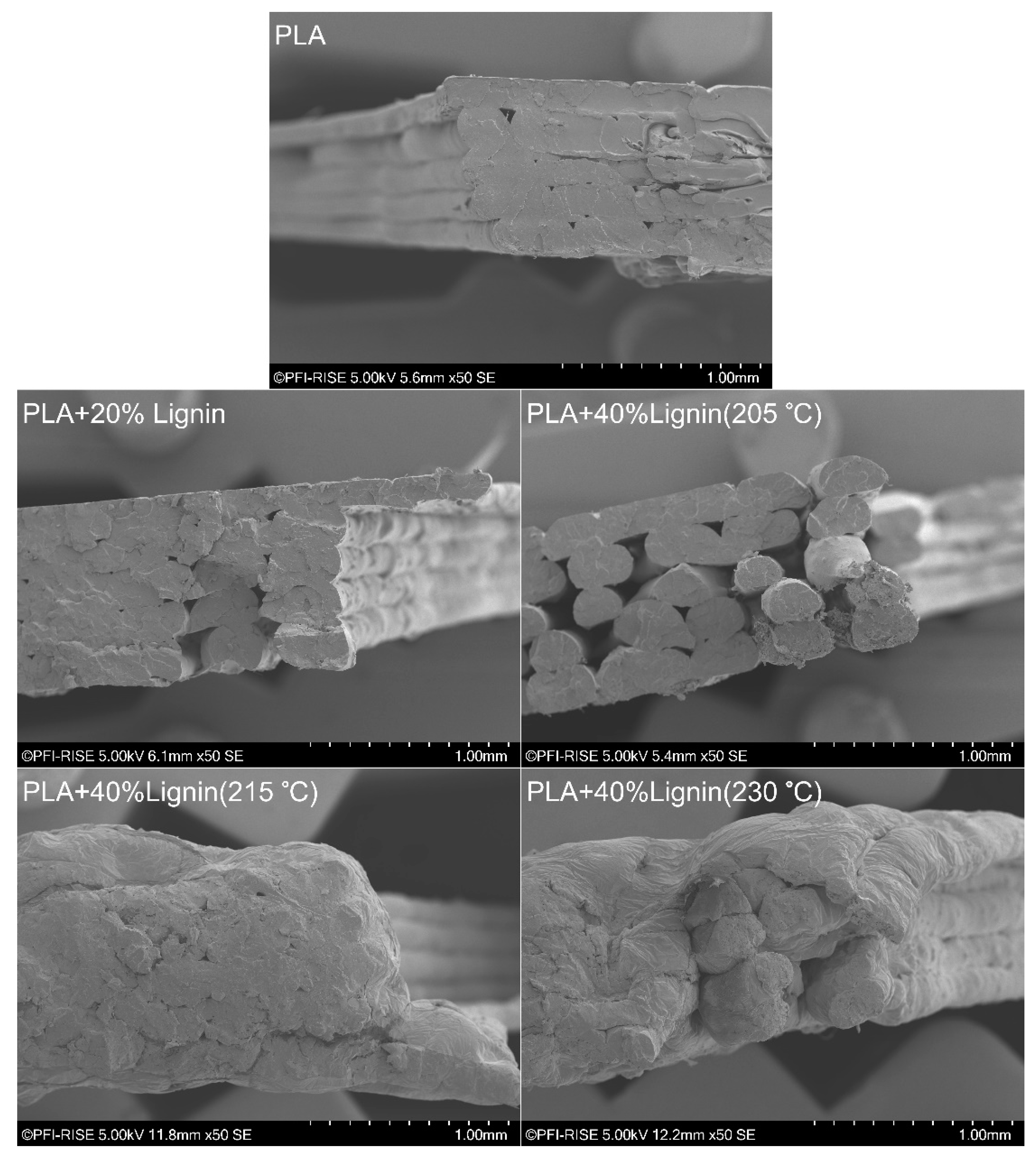 Materials 12 03006 g005