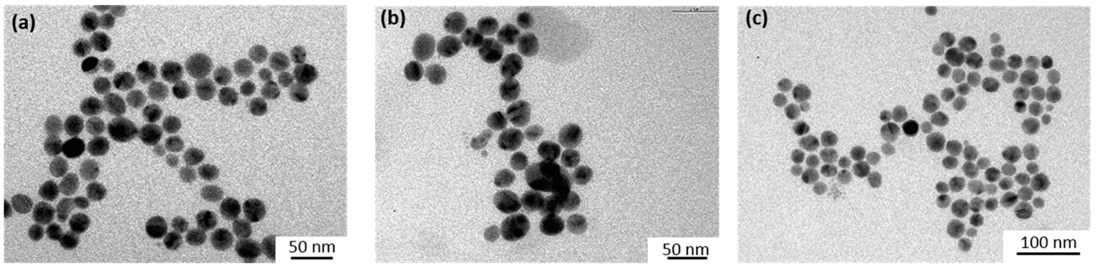 Materials 12 03012 g011 Materials 12 03012 g011