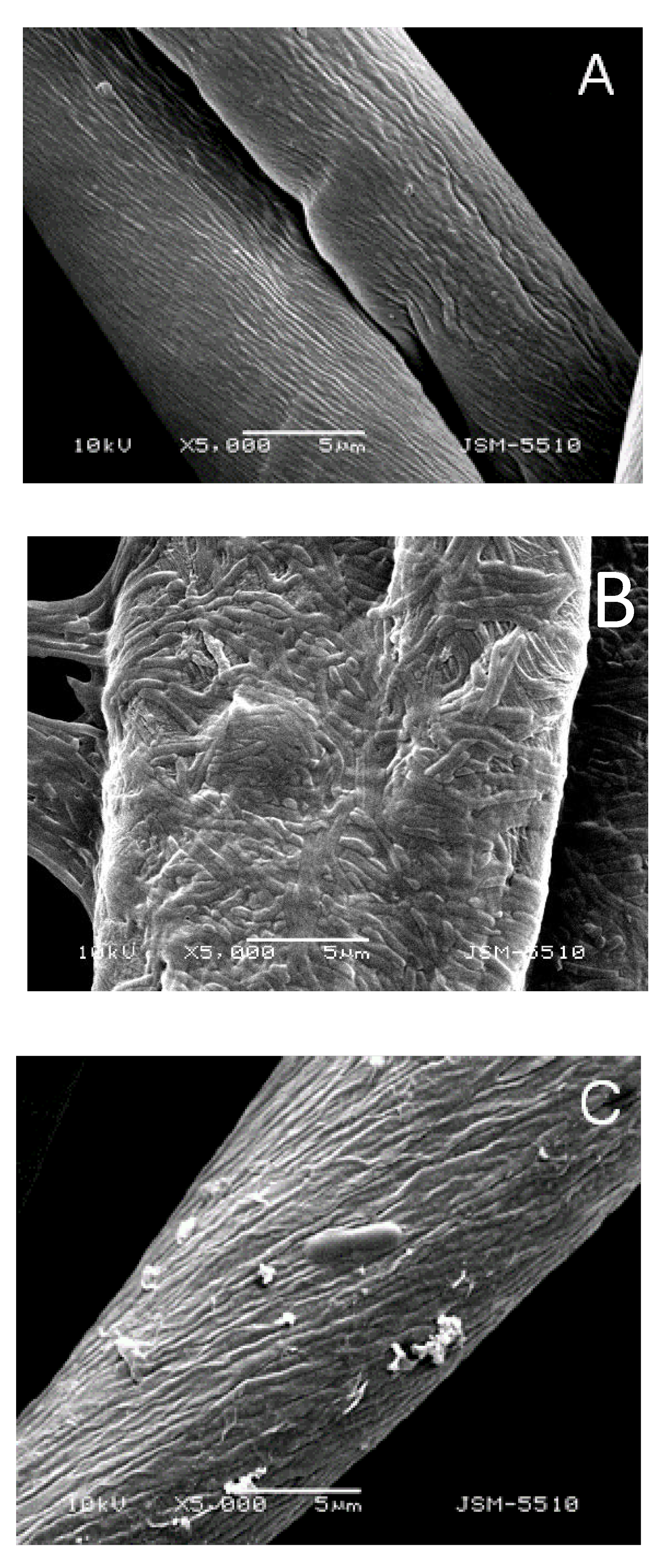 Materials 12 03020 g006 Materials 12 03020 g006