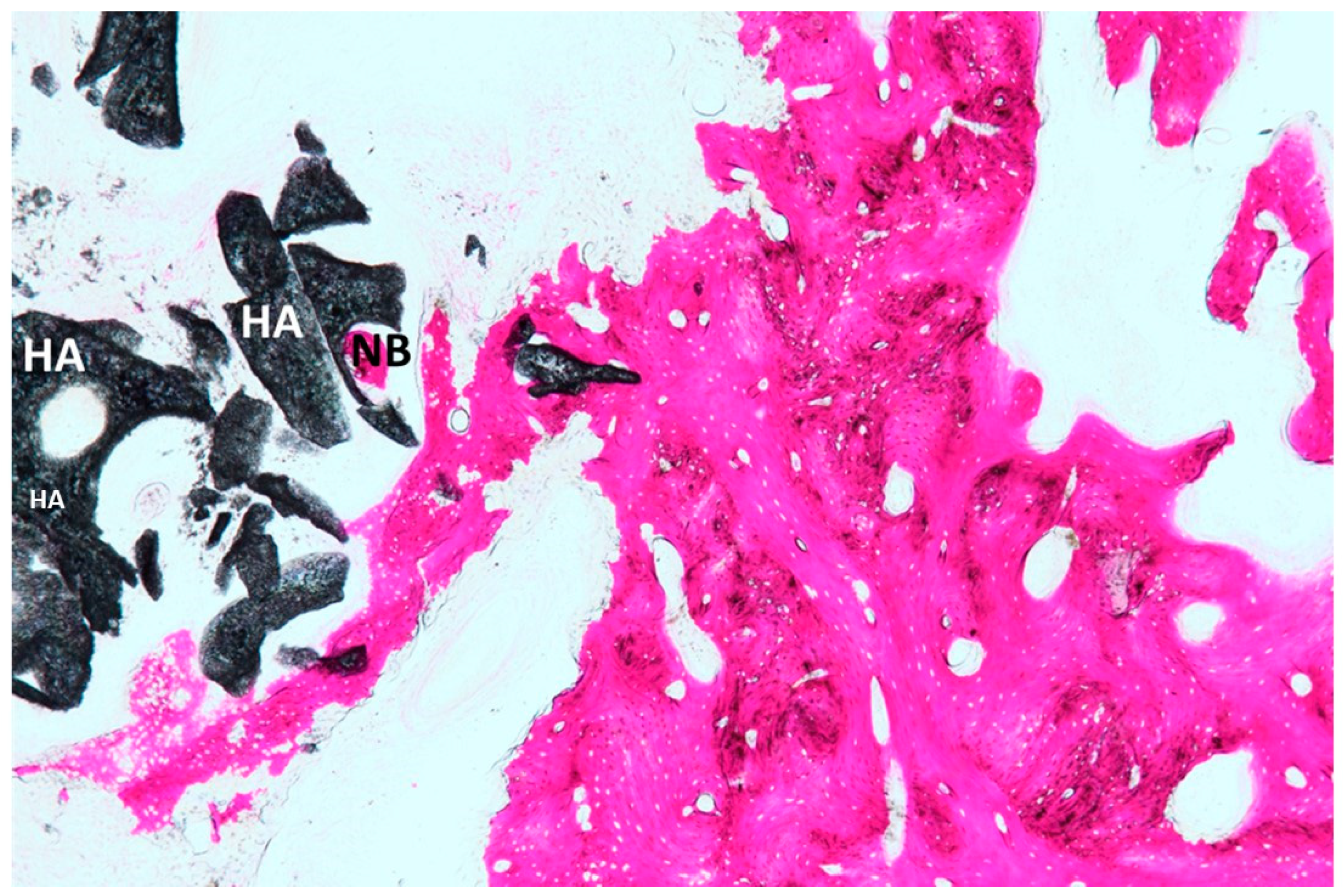 Materials 12 03079 g006