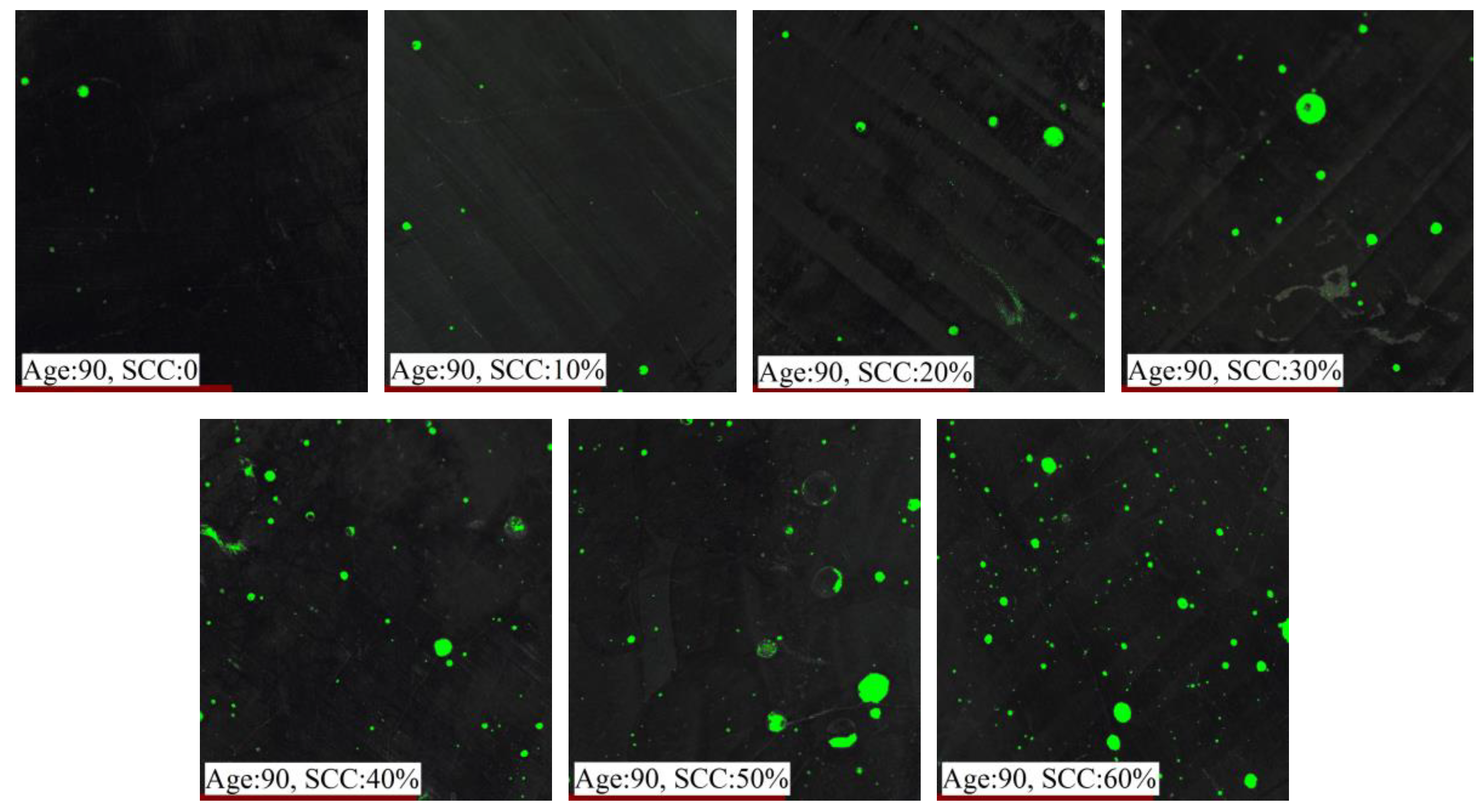 Materials 12 03094 g006