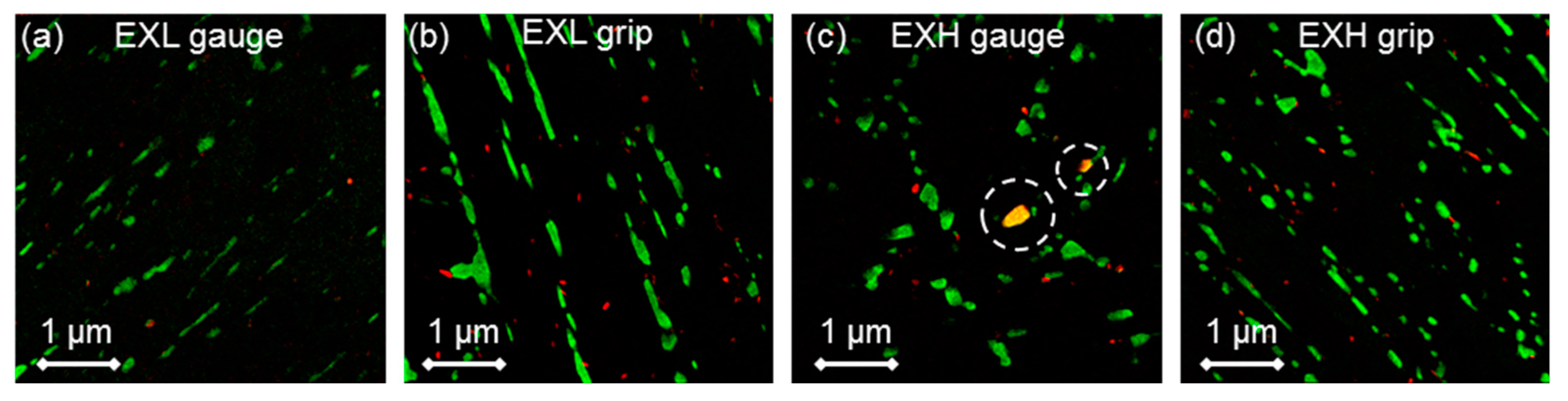 Materials 12 03106 g016