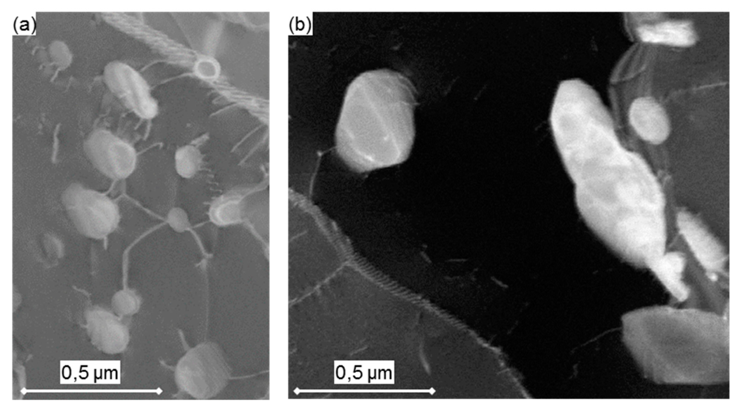 Materials 12 03106 g019