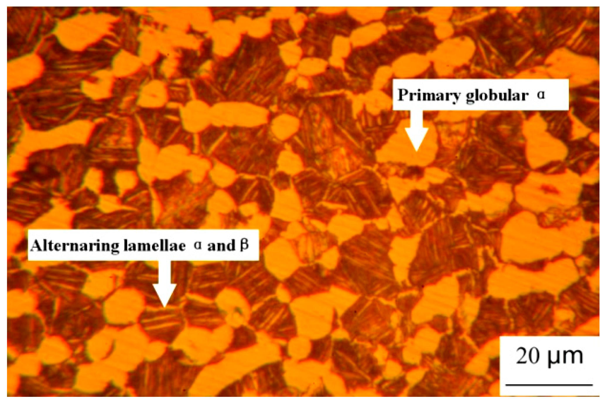 Materials 12 03138 g002