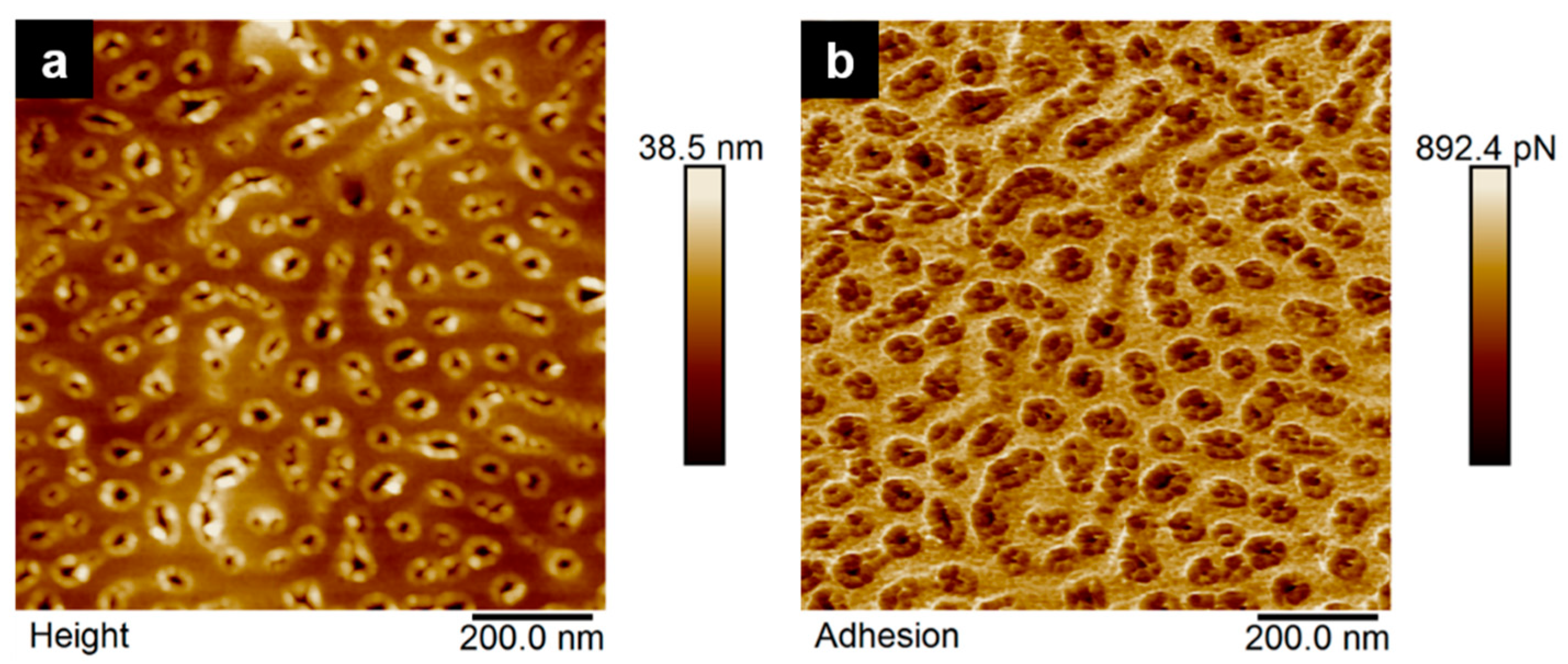 Materials 12 03145 g006