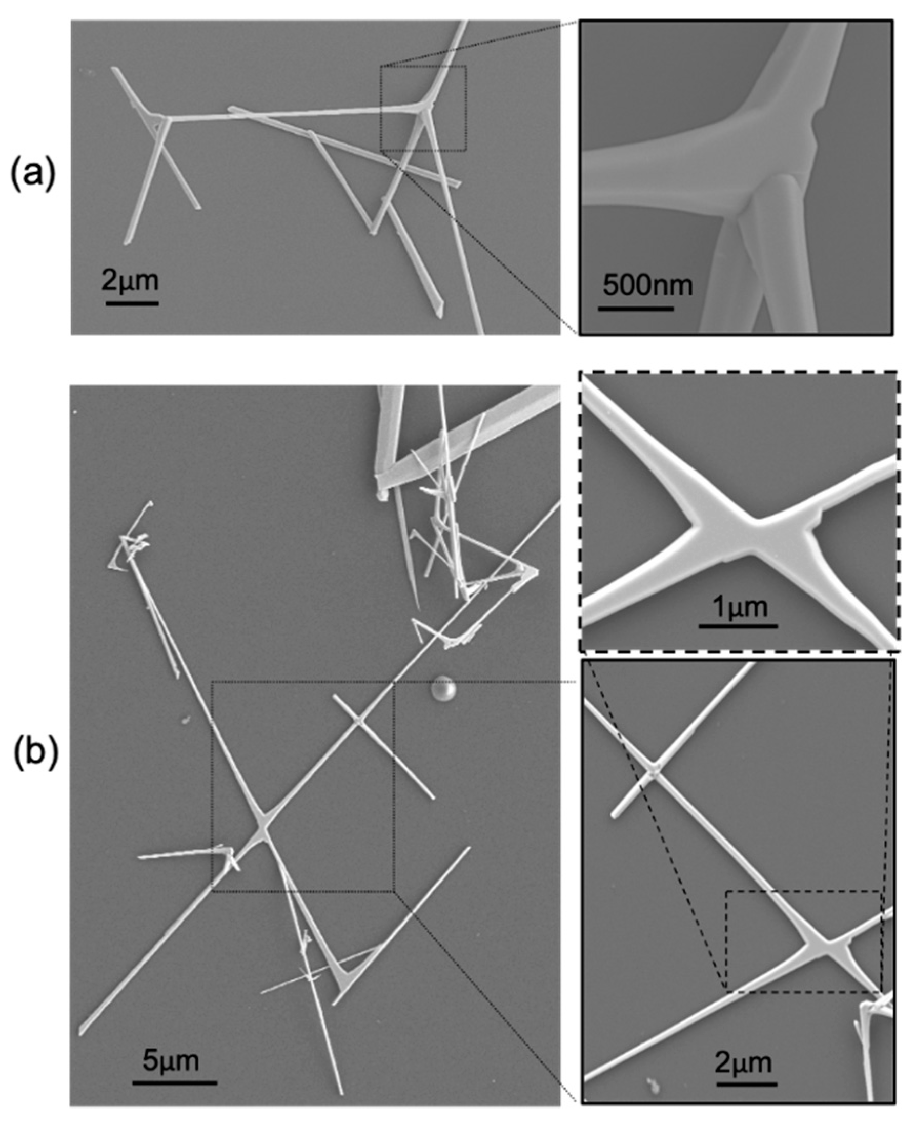 Materials 12 03148 g001 Materials 12 03148 g001