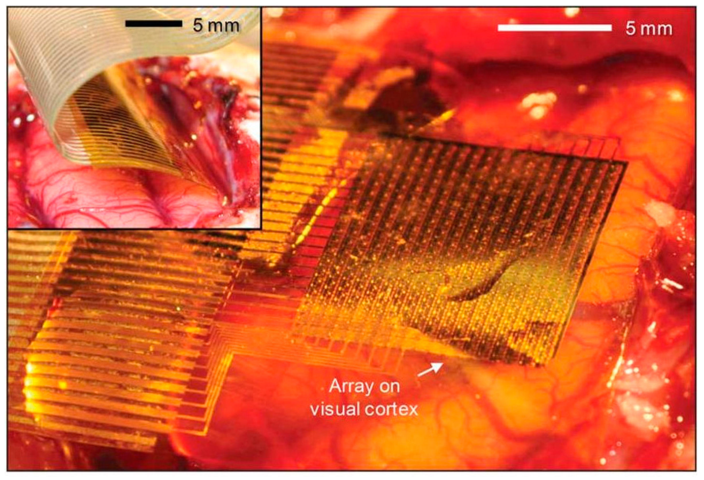 Materials 12 03166 g001 Materials 12 03166 g001