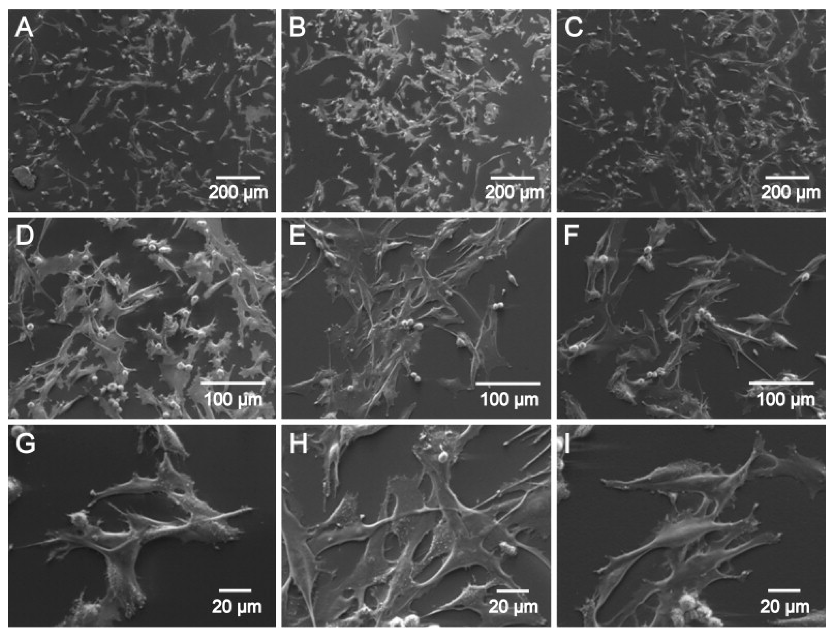 Materials 12 03166 g005 Materials 12 03166 g005