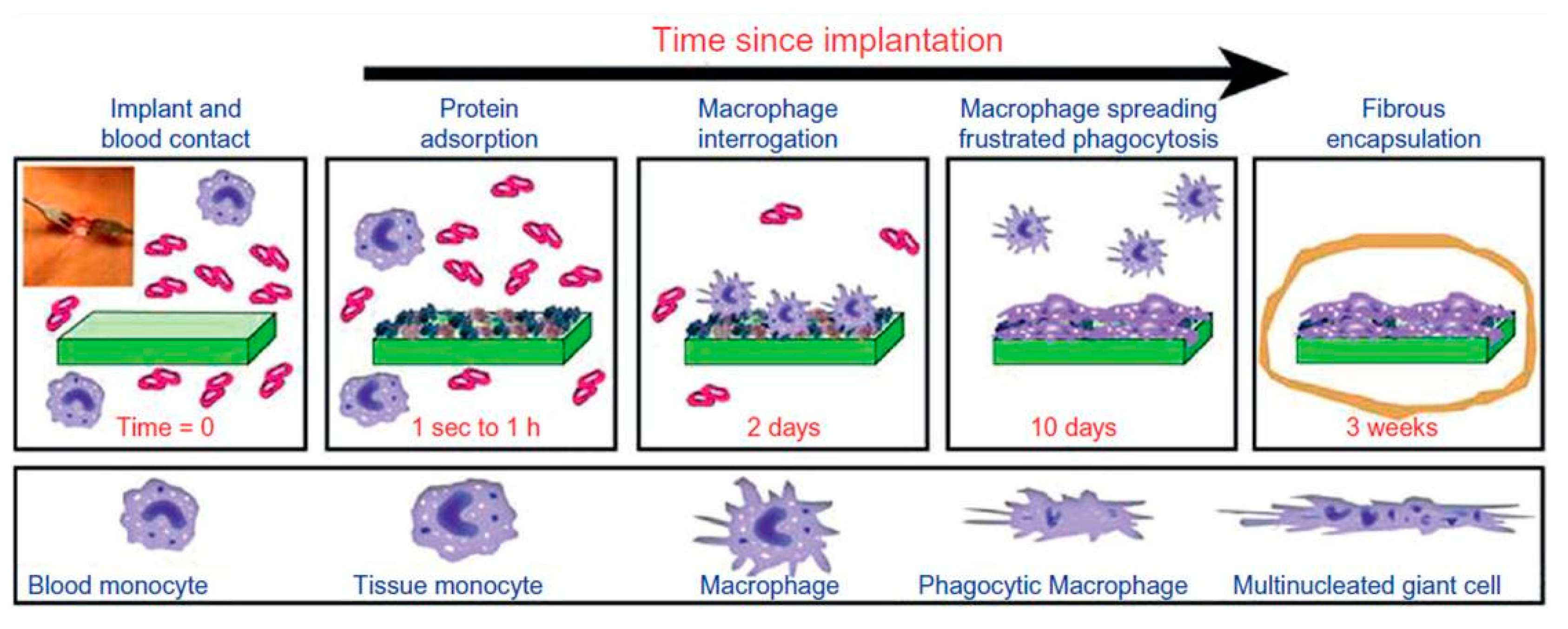Materials 12 03166 g006 Materials 12 03166 g006