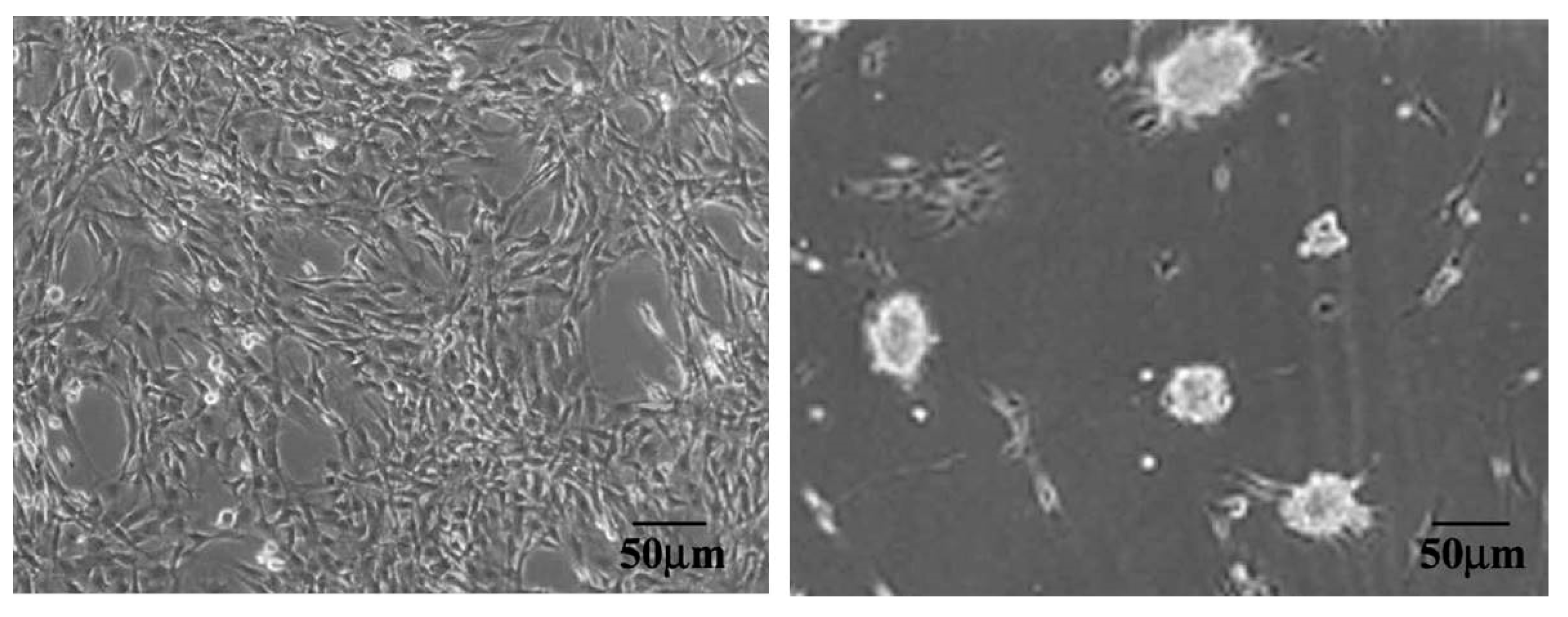 Materials 12 03166 g007 Materials 12 03166 g007