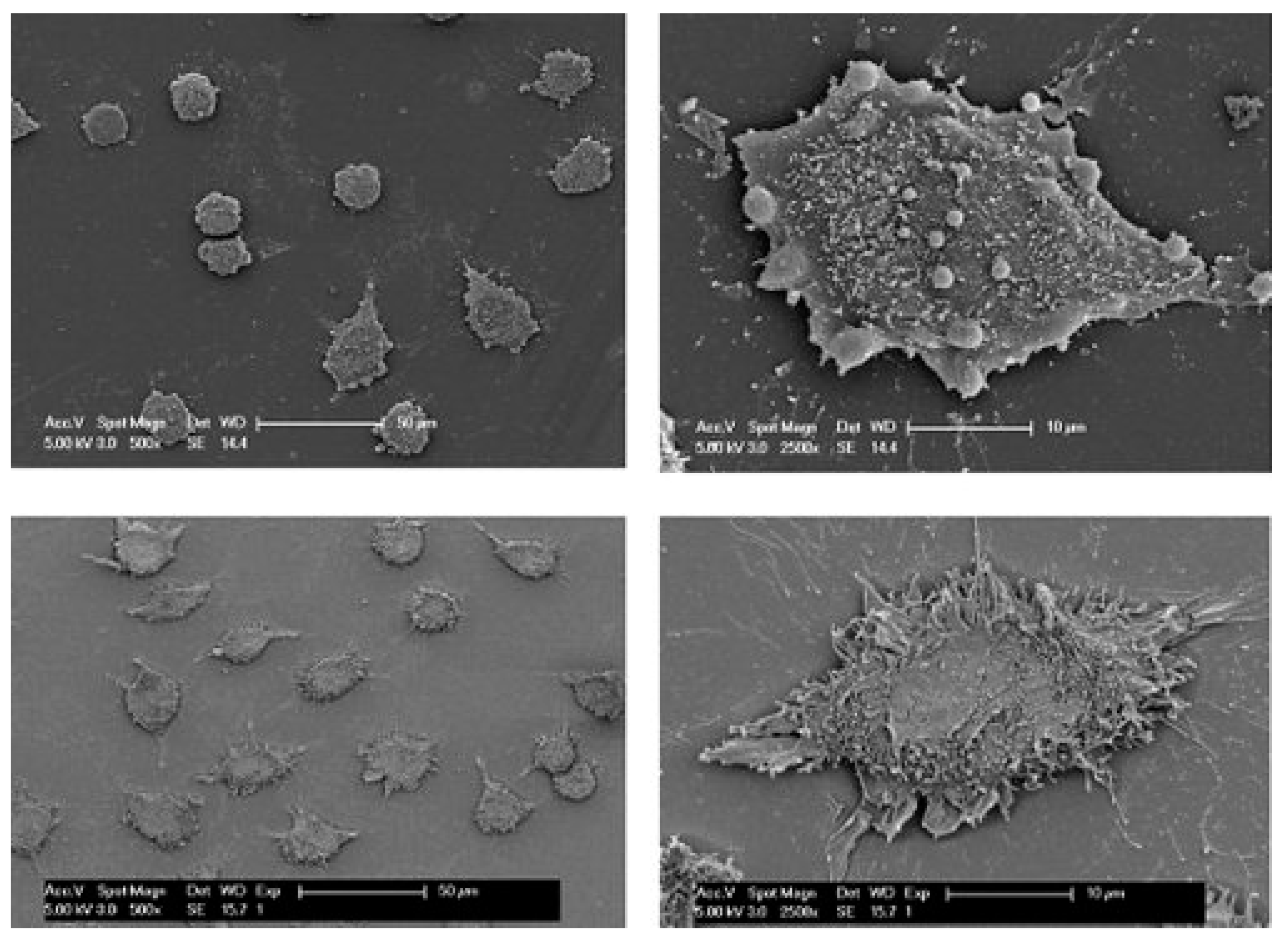 Materials 12 03166 g008 Materials 12 03166 g008