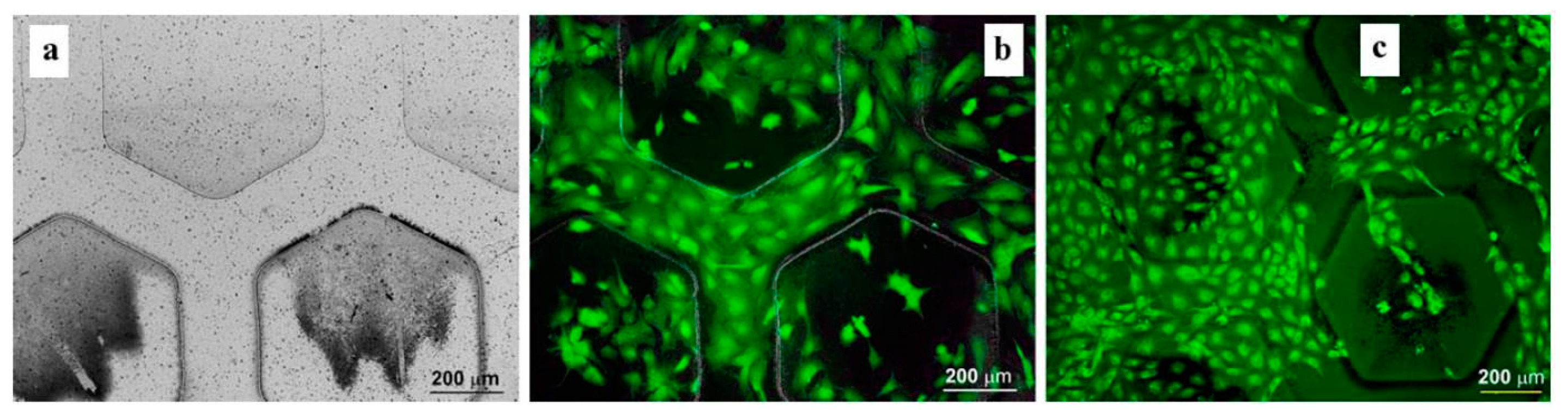 Materials 12 03166 g011 Materials 12 03166 g011