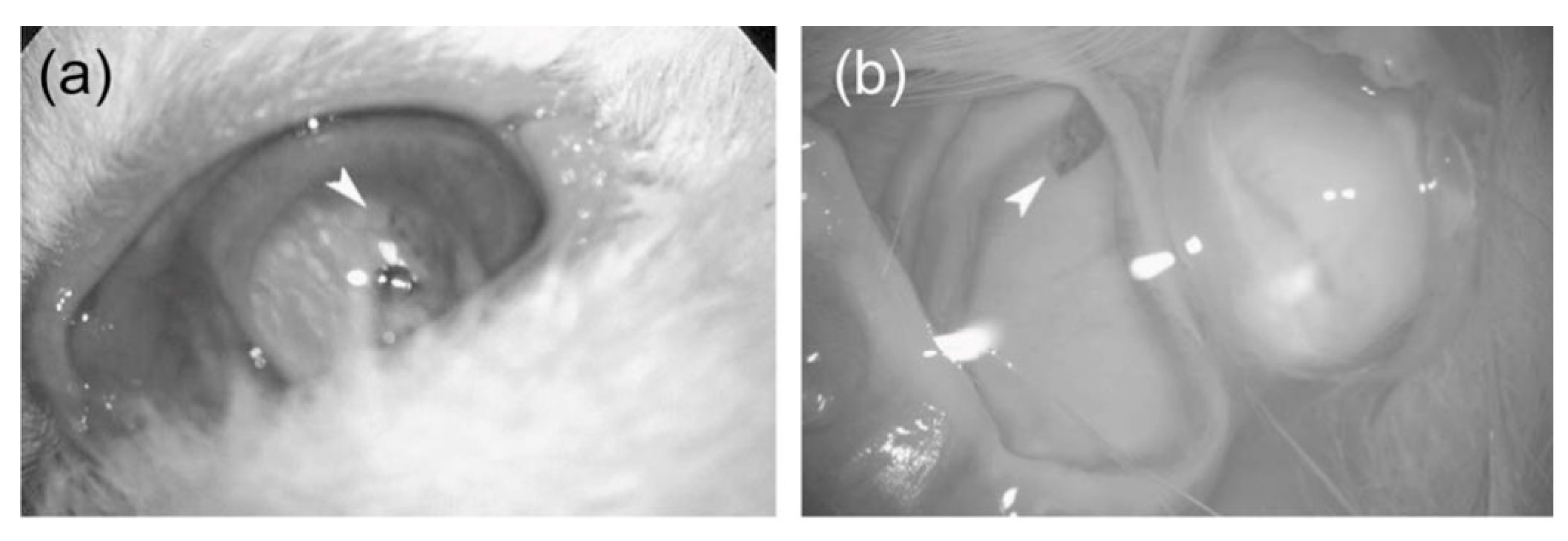 Materials 12 03166 g012 Materials 12 03166 g012
