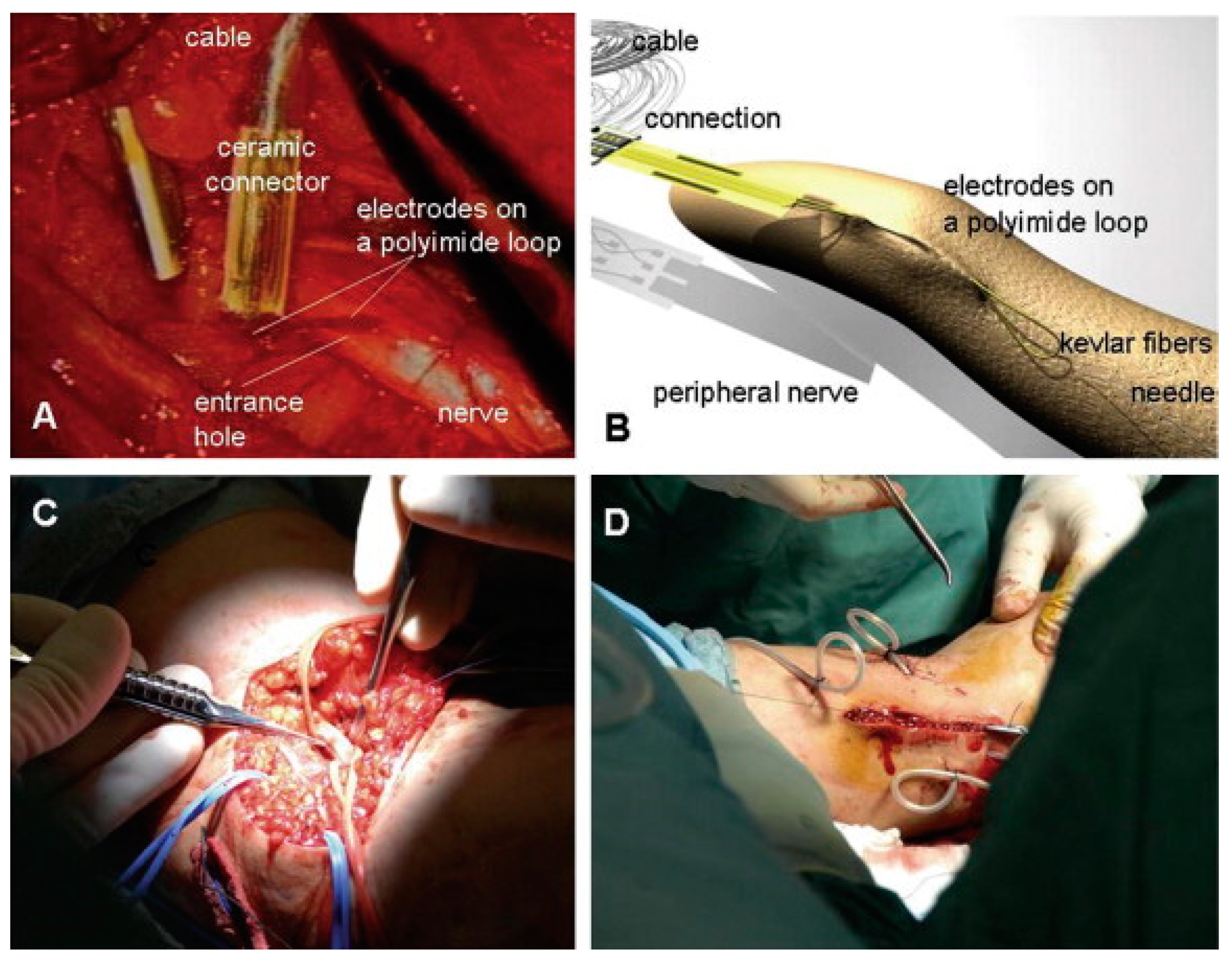 Materials 12 03166 g015 Materials 12 03166 g015