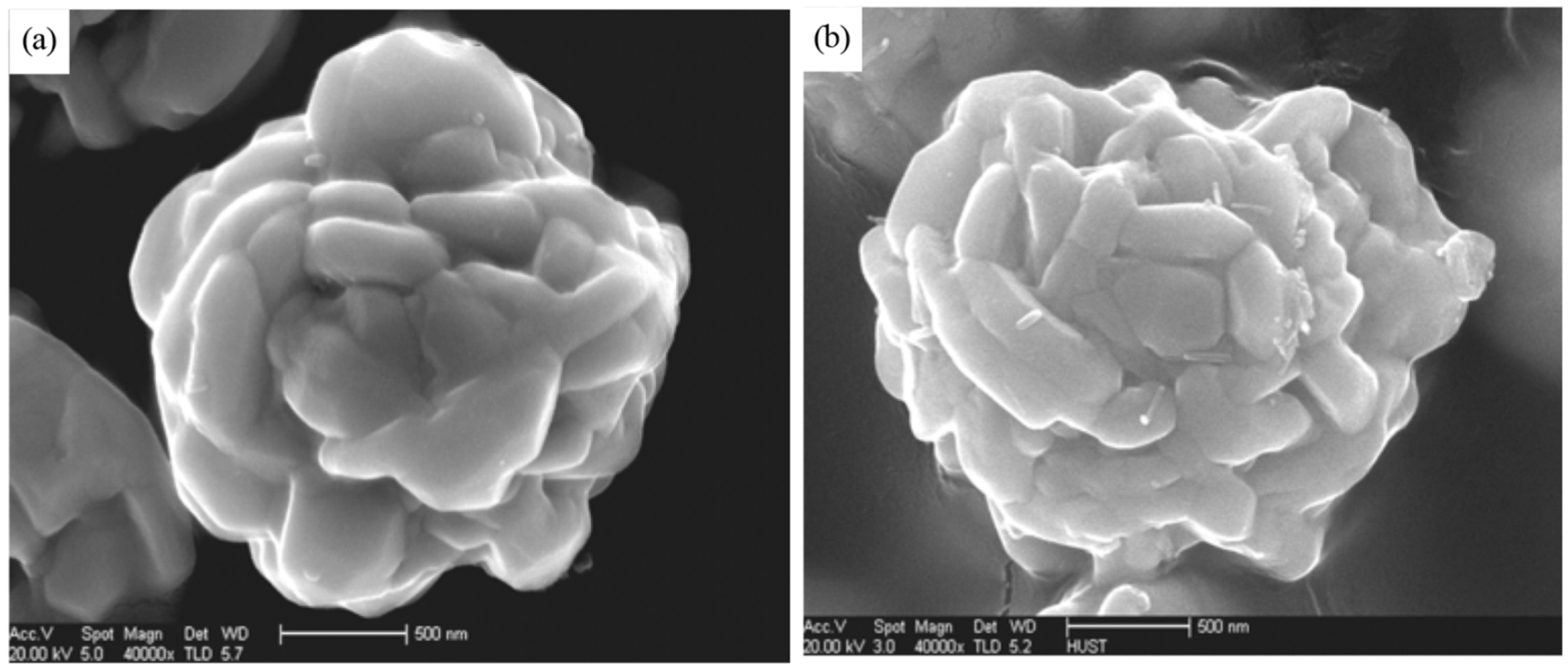 Materials 12 03177 g001