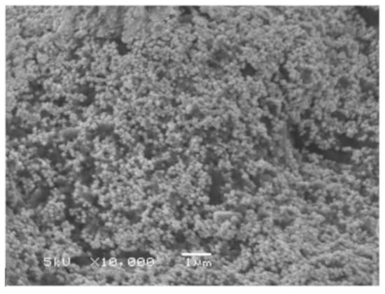 Materials 12 03177 g002