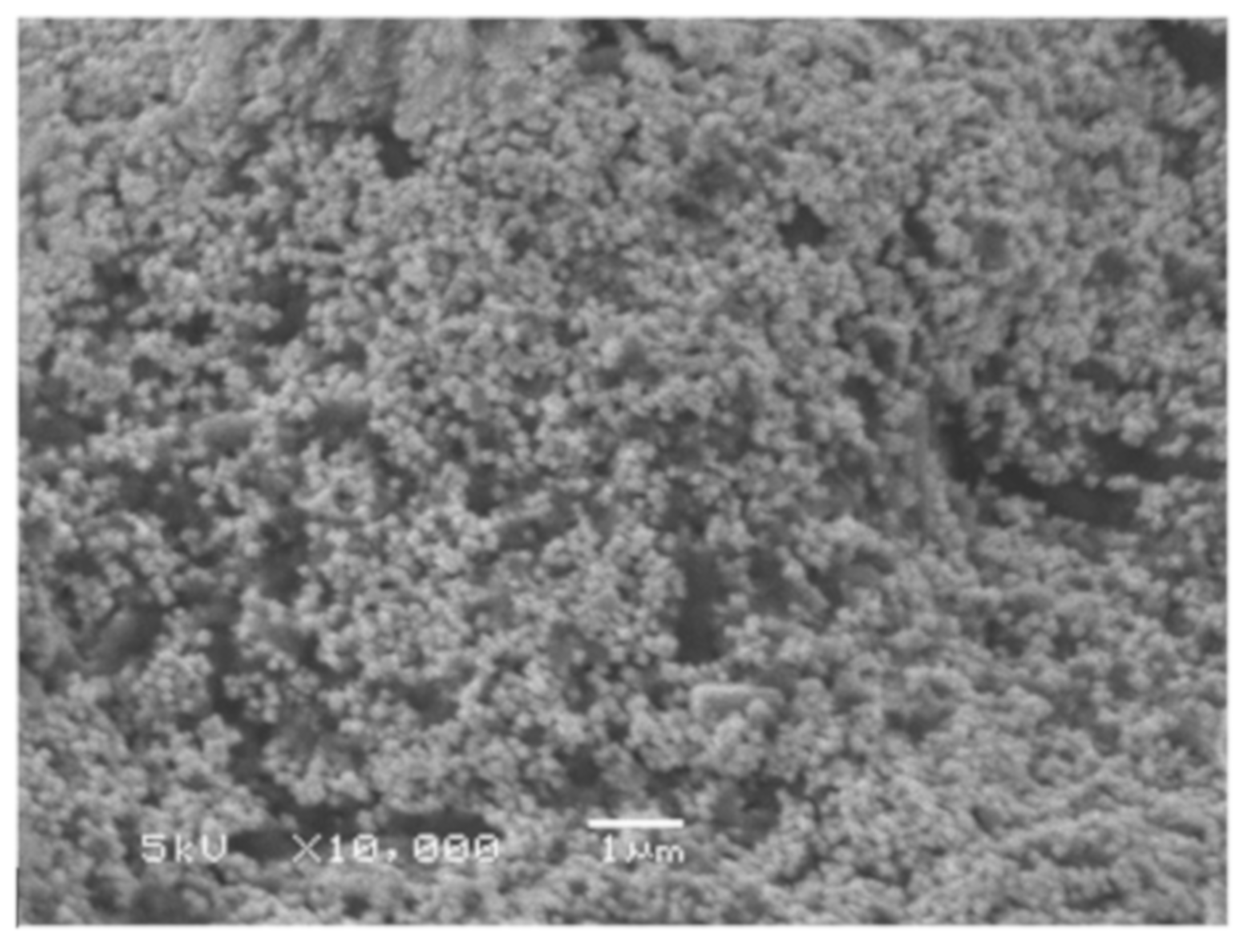 Materials 12 03177 g002