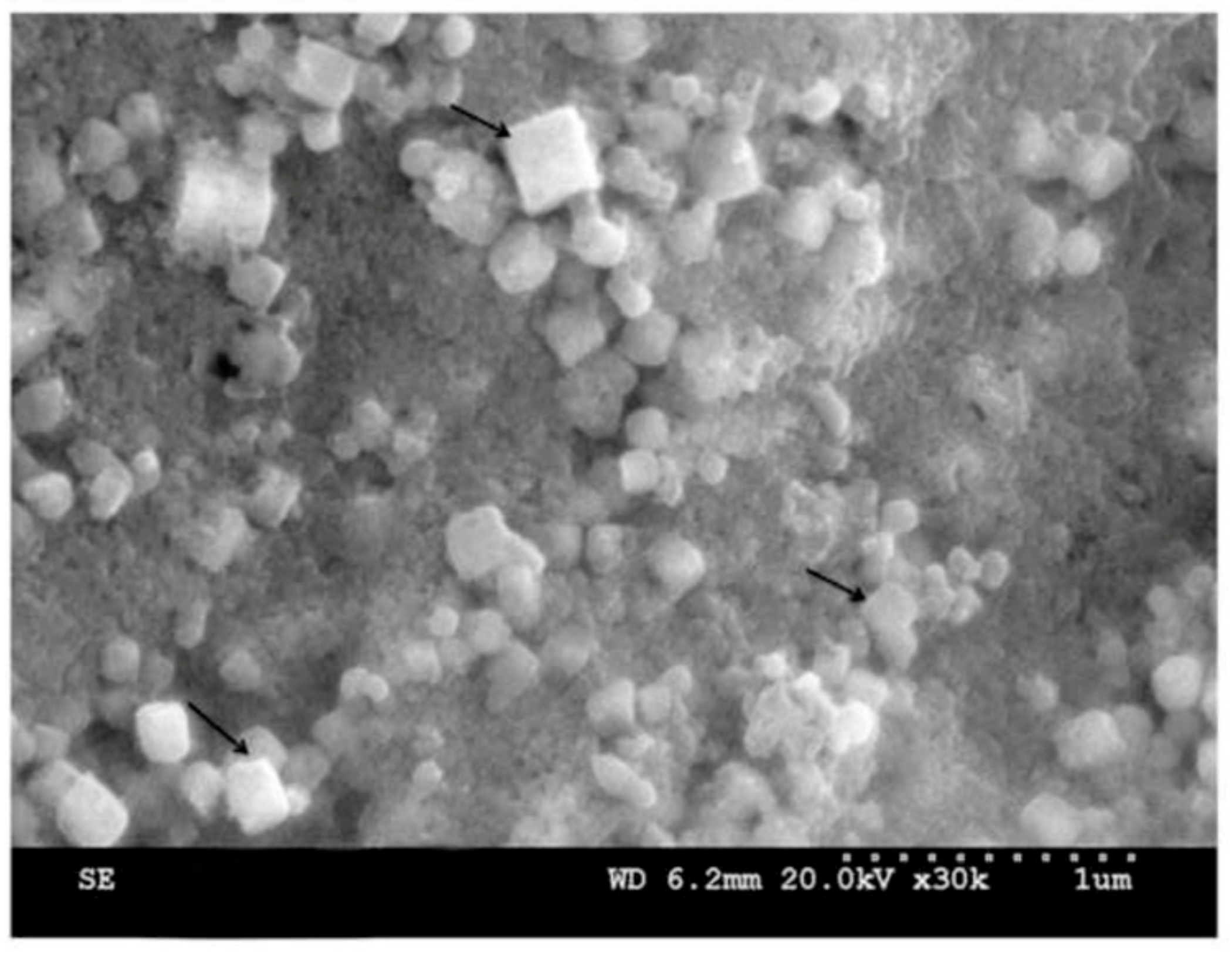 Materials 12 03177 g004