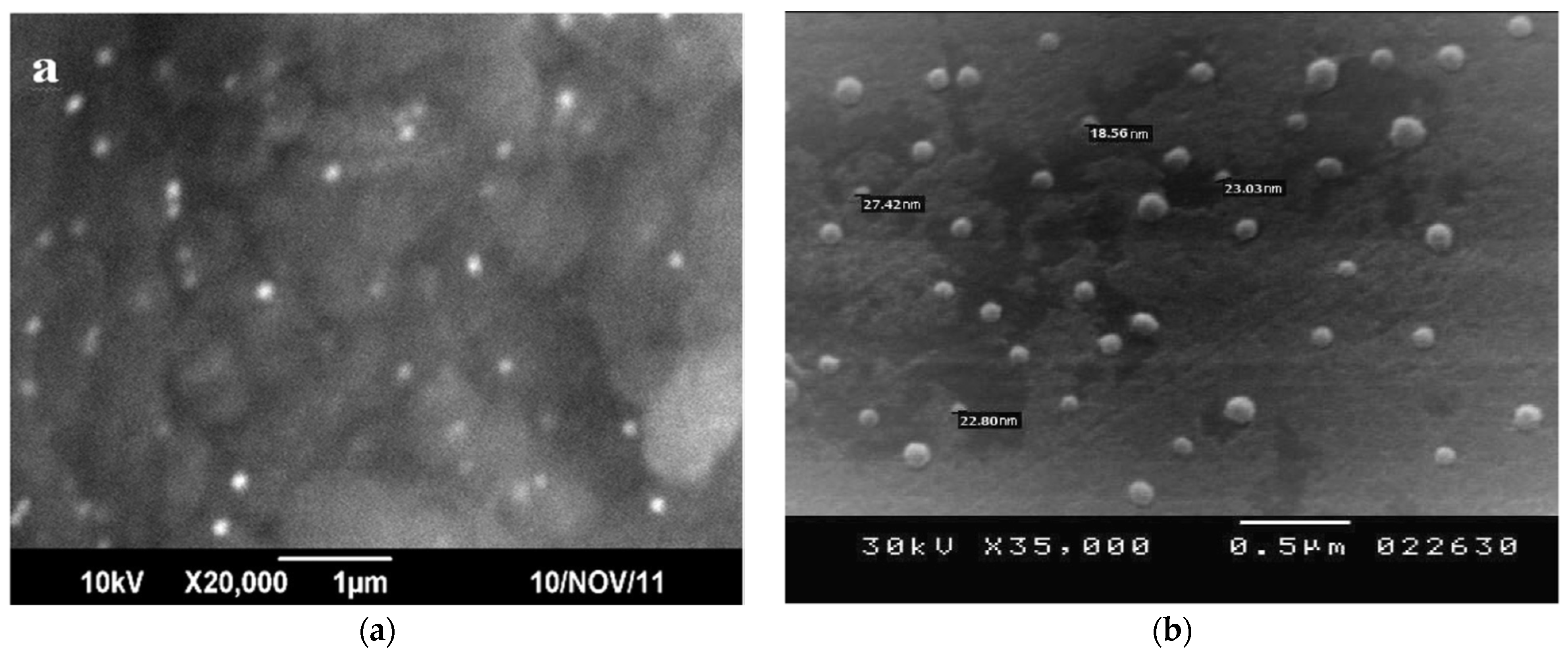 Materials 12 03177 g007