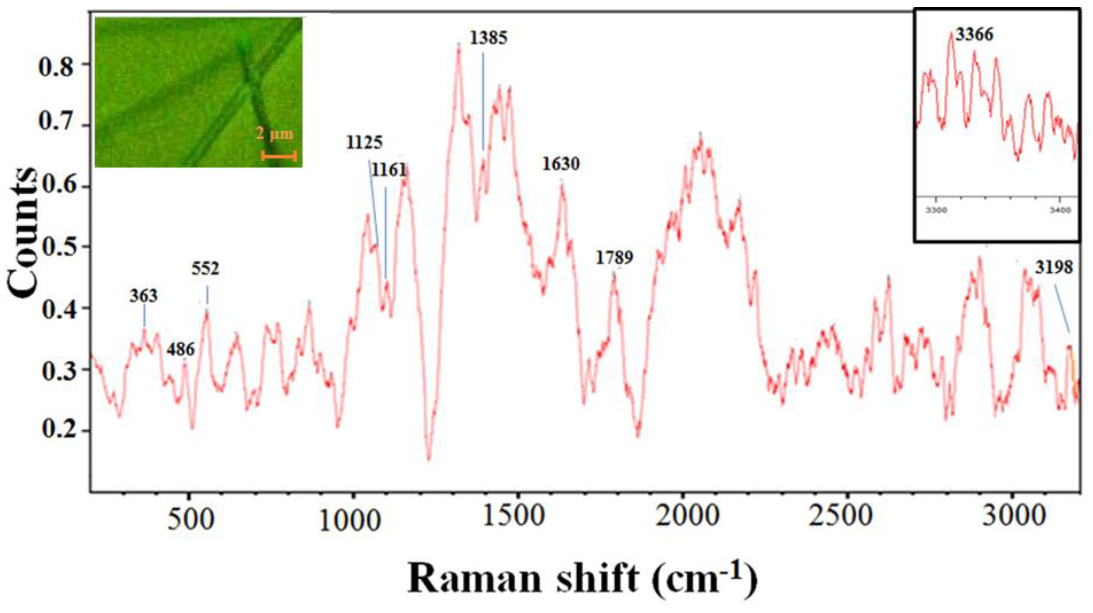 Materials 12 03201 g002