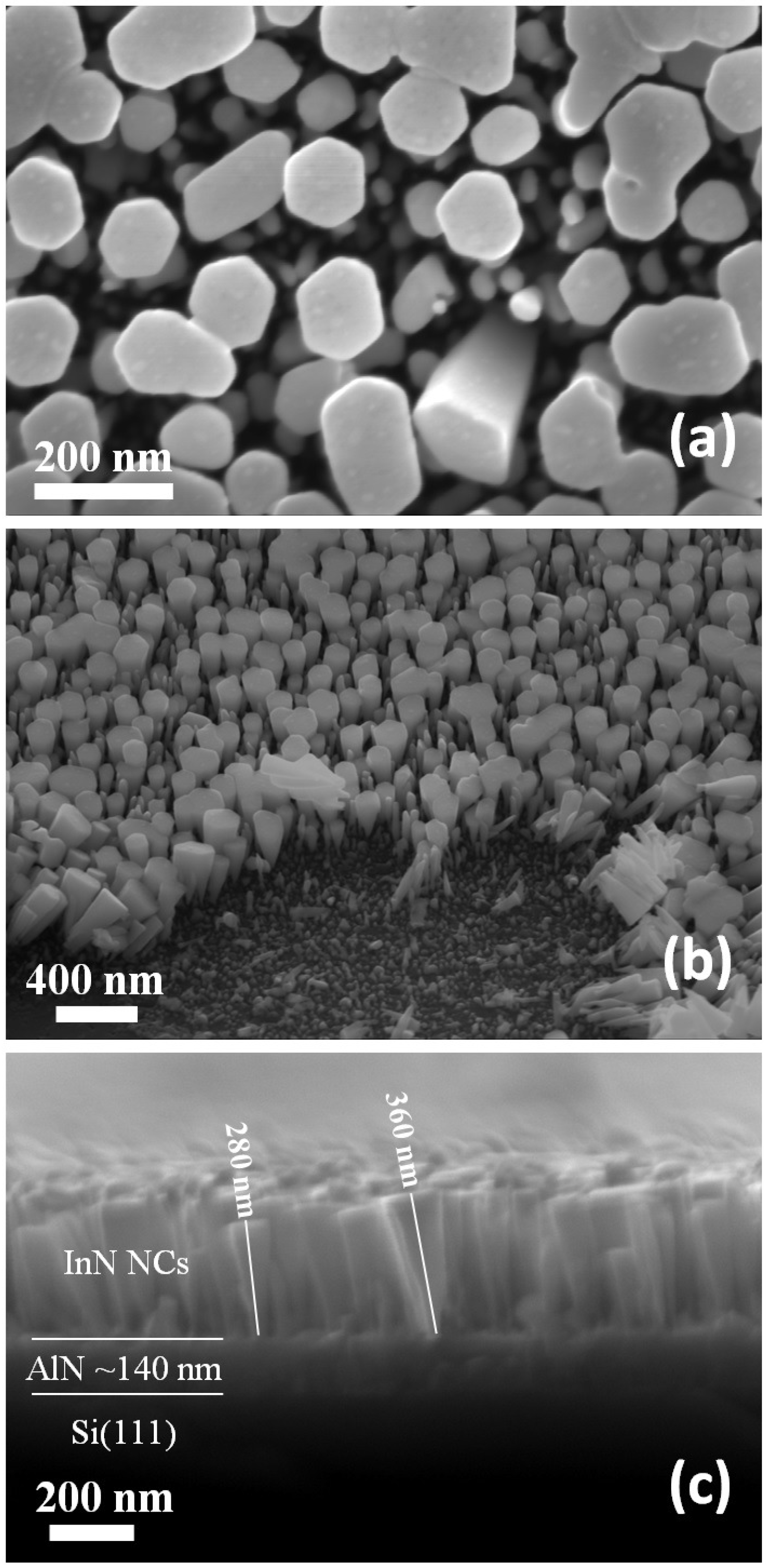 Materials 12 03203 g002