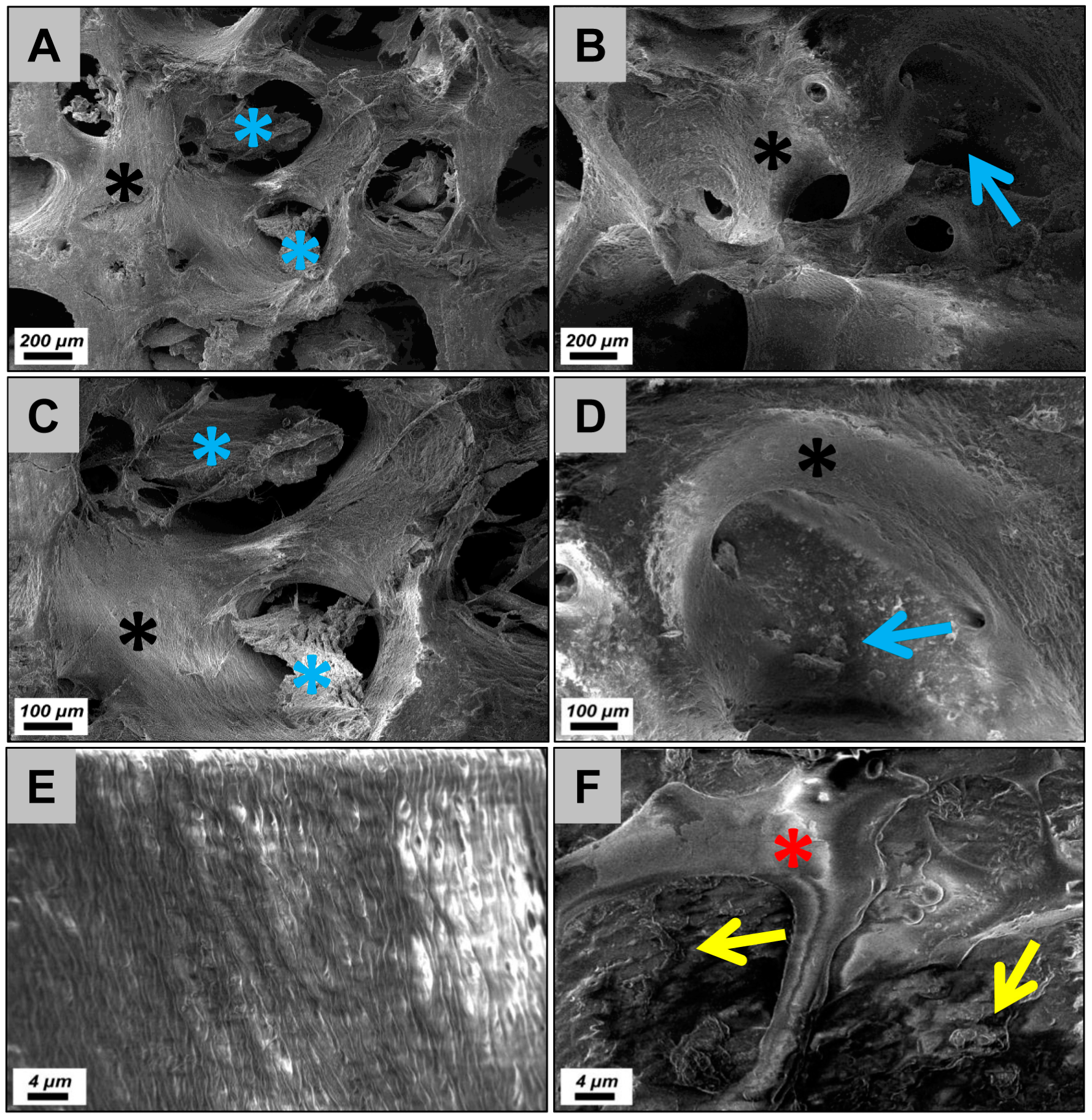 Materials 12 03234 g001 Materials 12 03234 g001