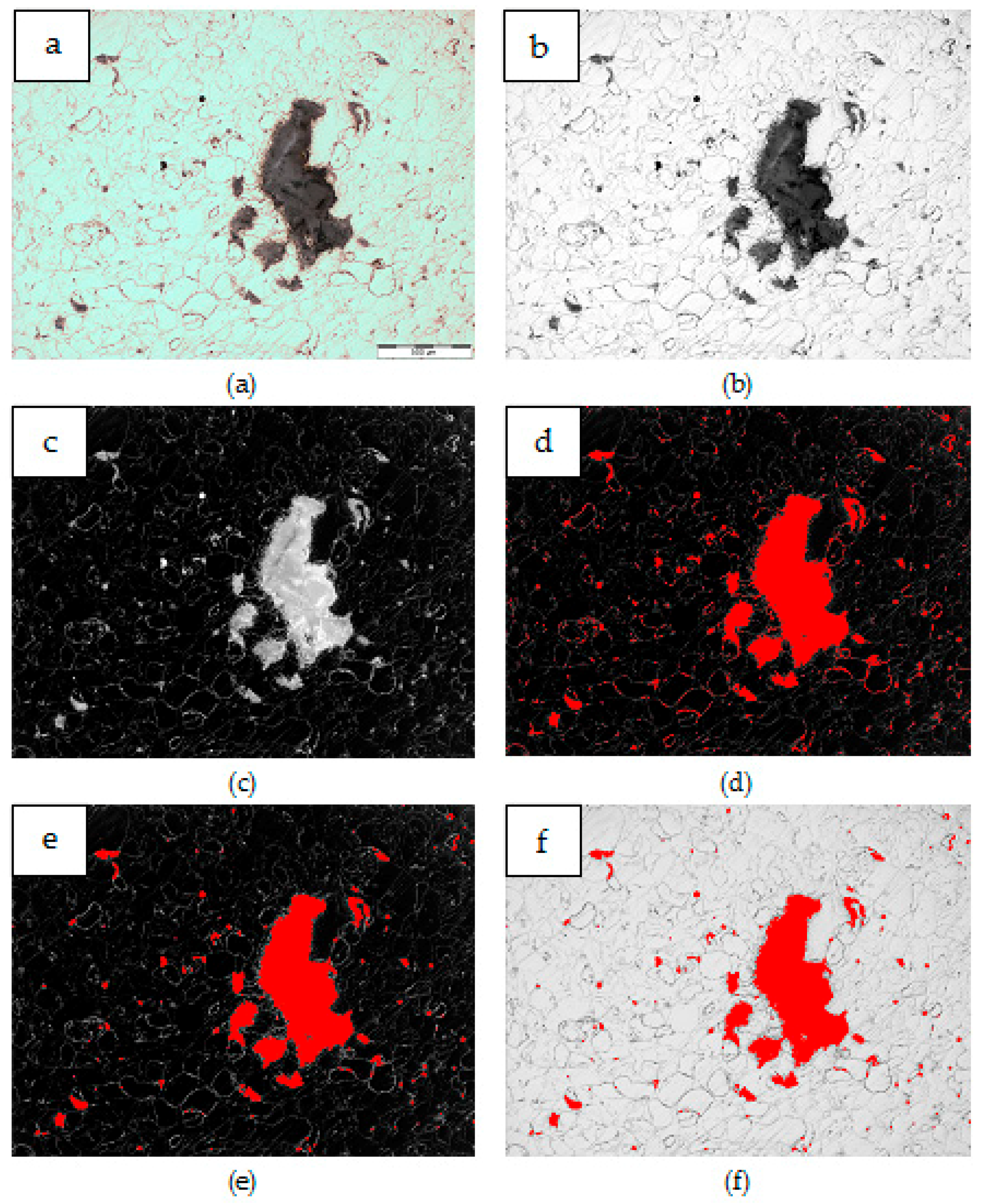 Materials 12 03242 g014