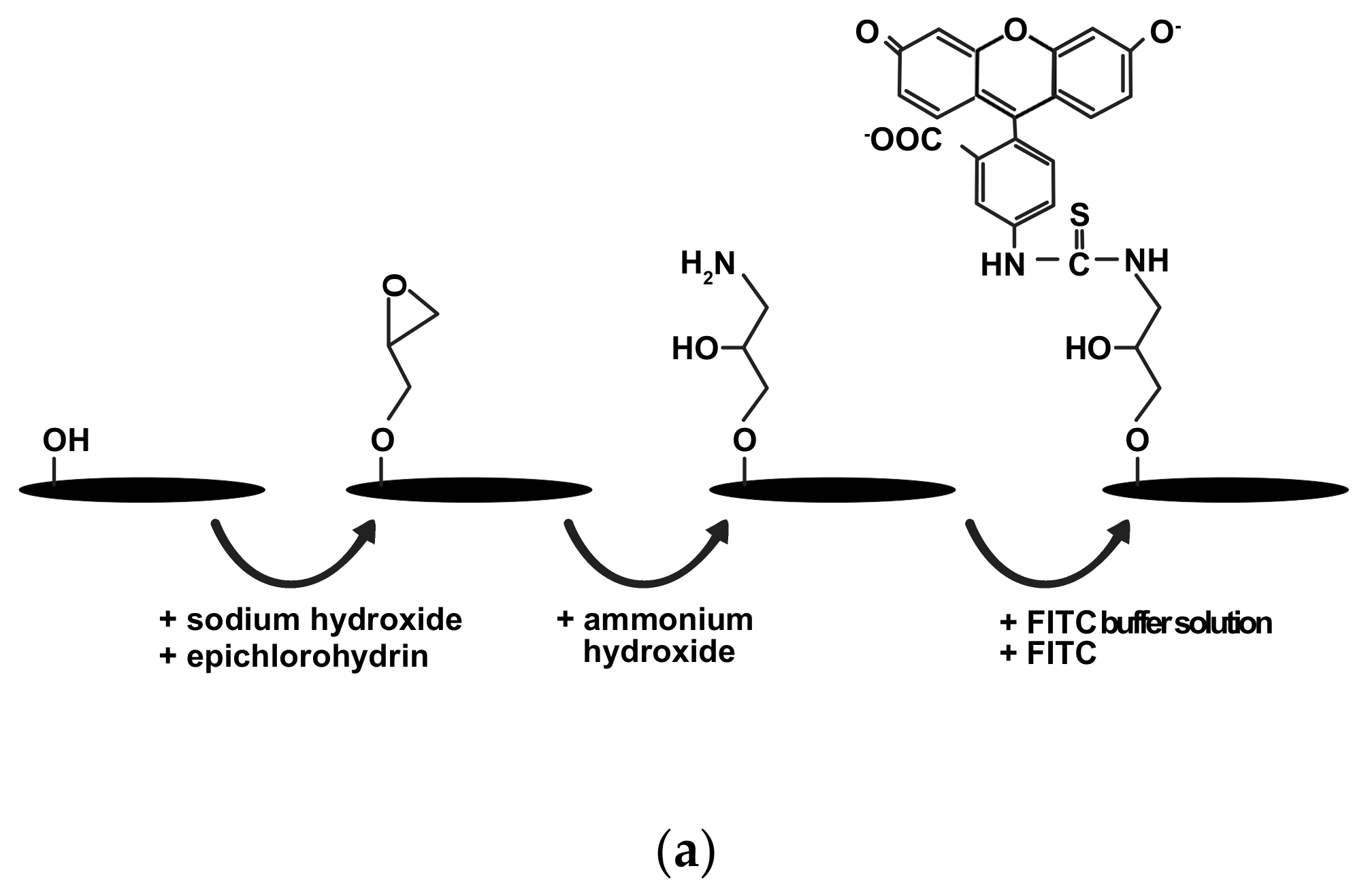 Materials 12 03251 g001a