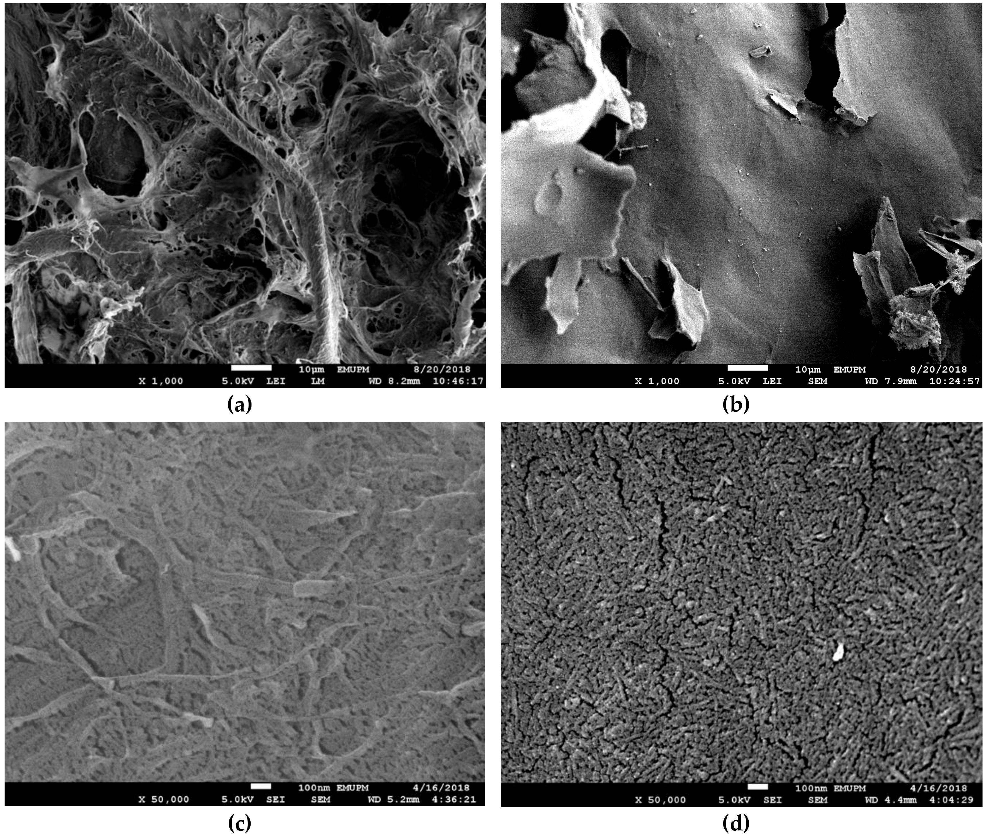 Materials 12 03251 g002