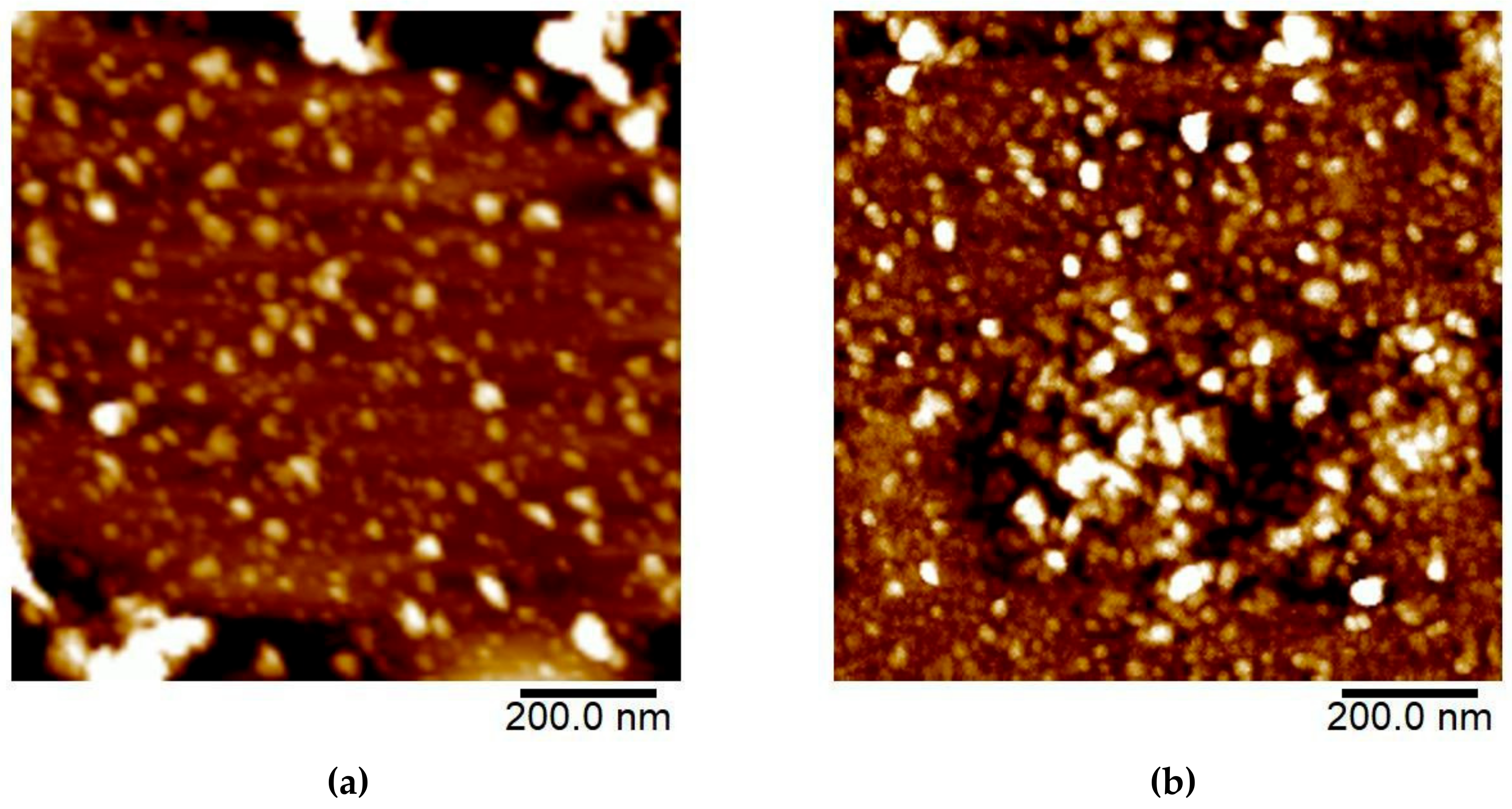 Materials 12 03251 g005a