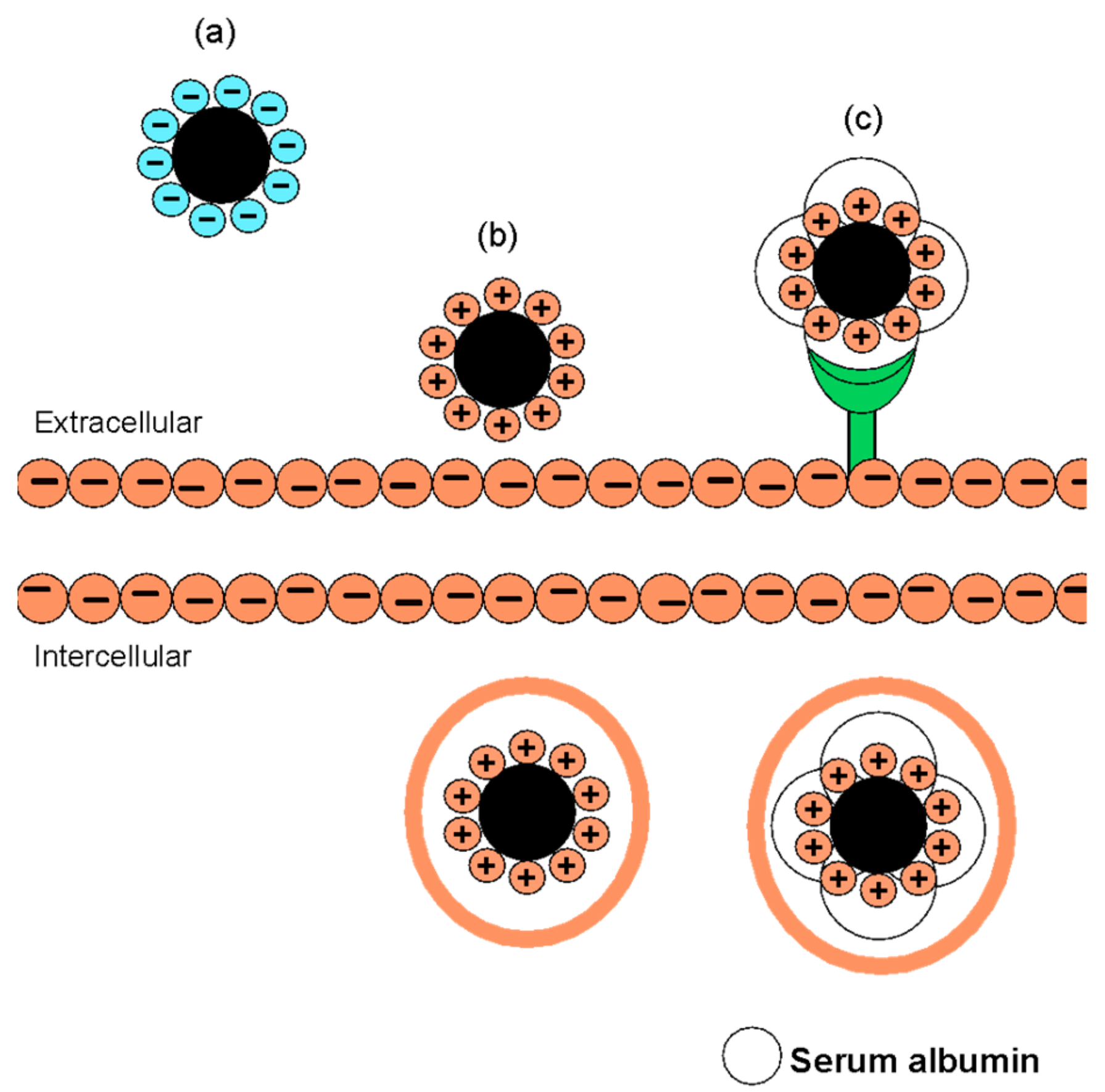 Materials 12 03251 g008