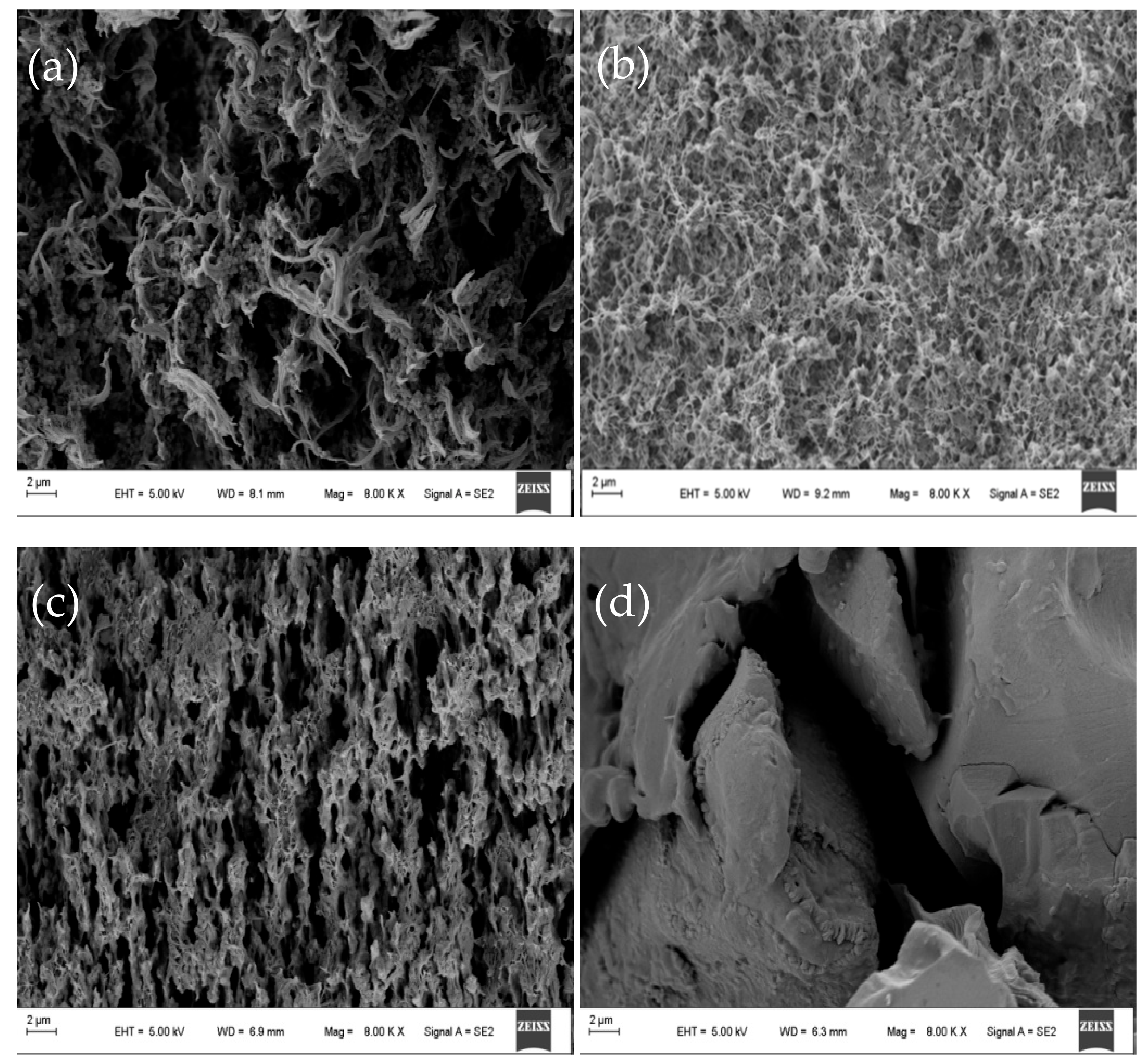 Materials 12 03265 g006