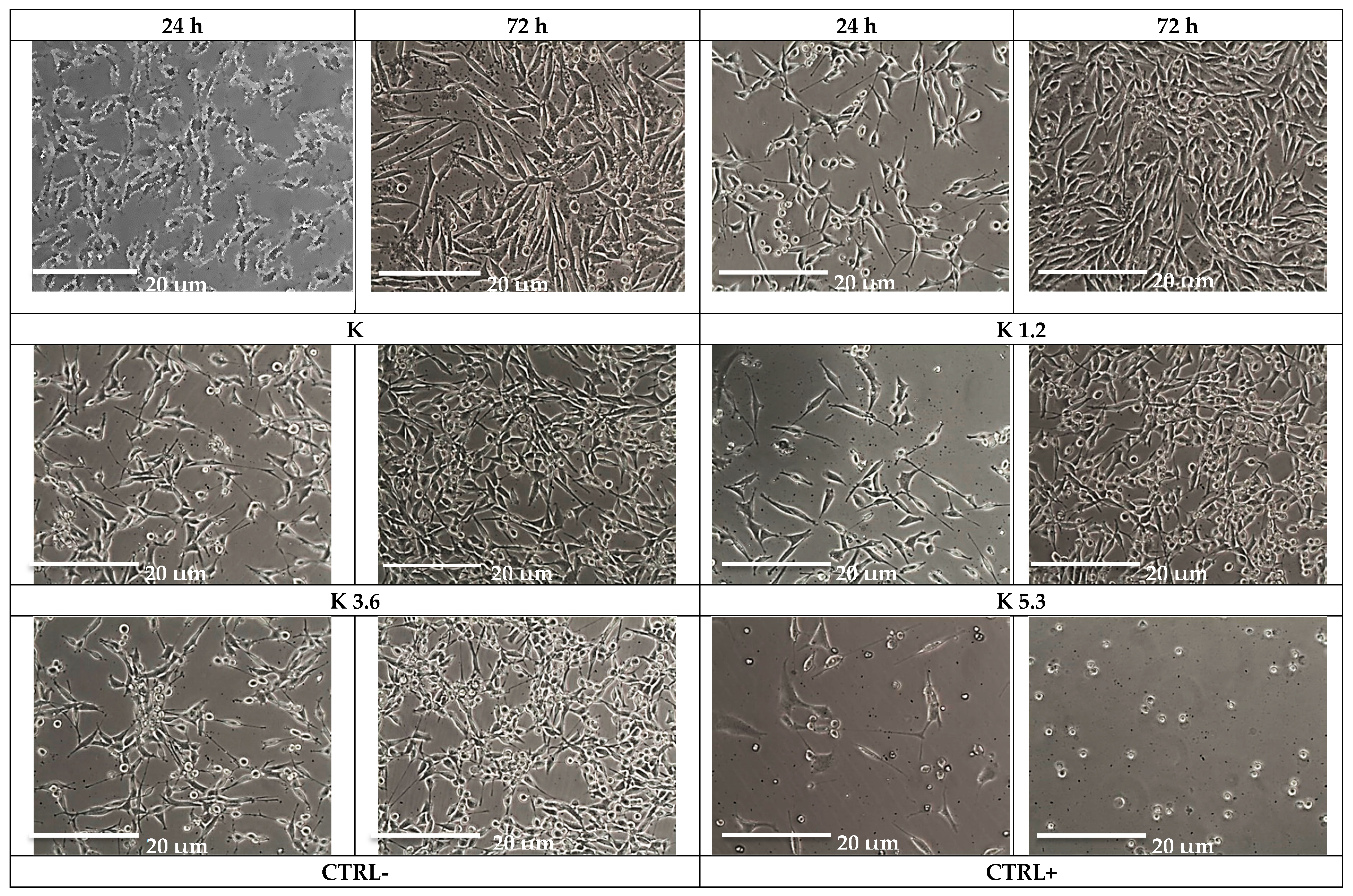 Materials 12 03267 g003