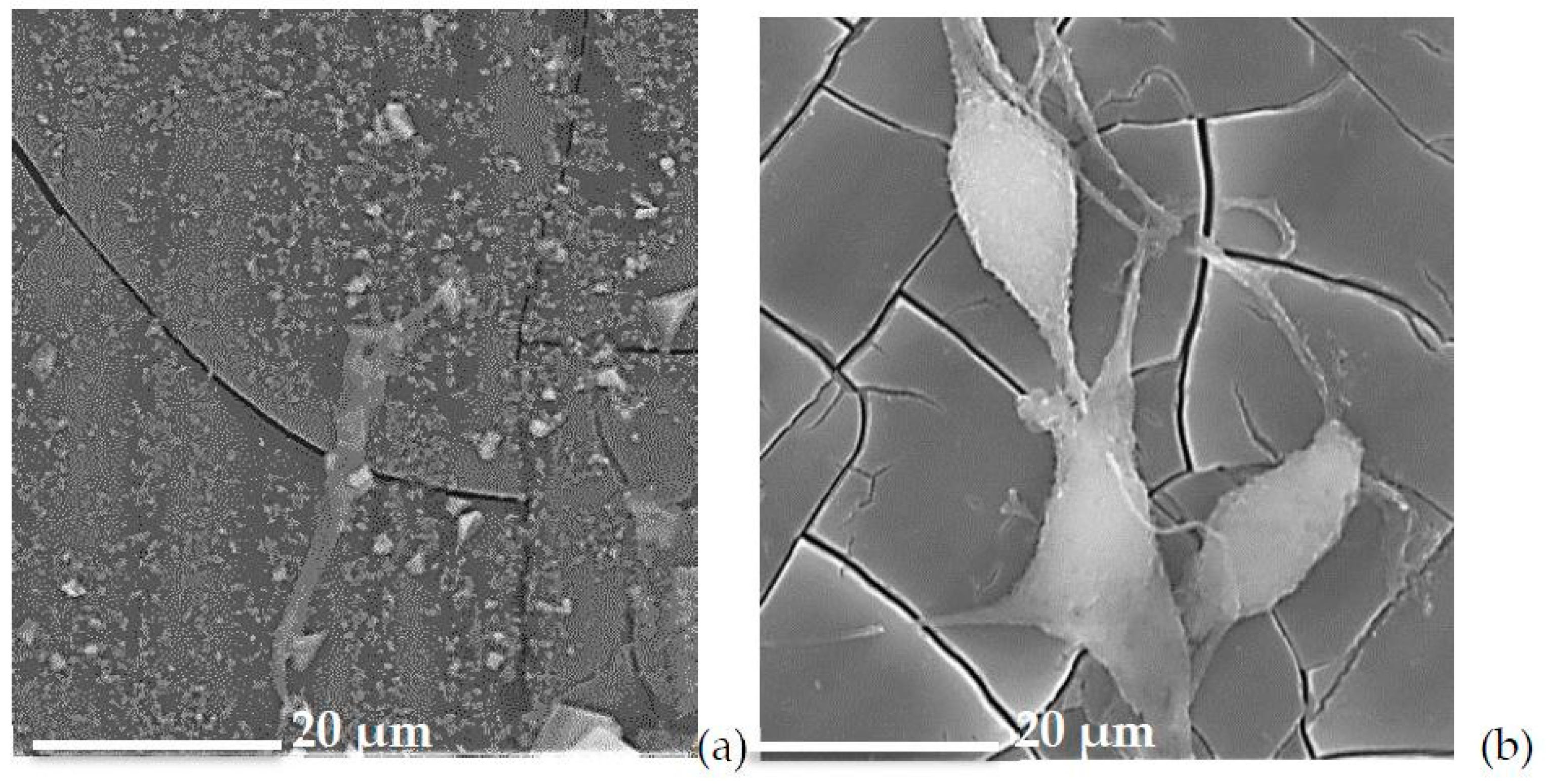 Materials 12 03267 g007