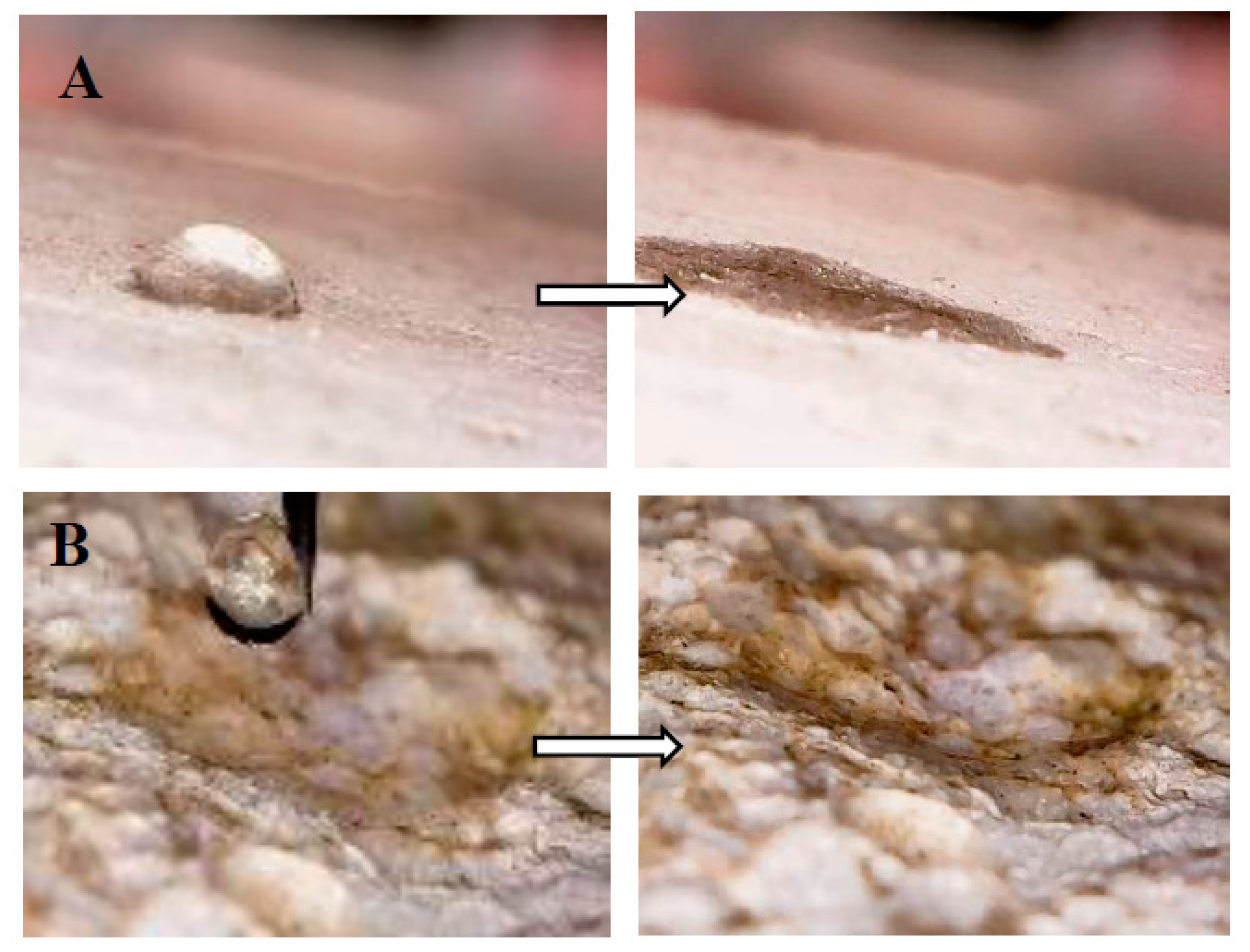 Materials 12 03289 g010a