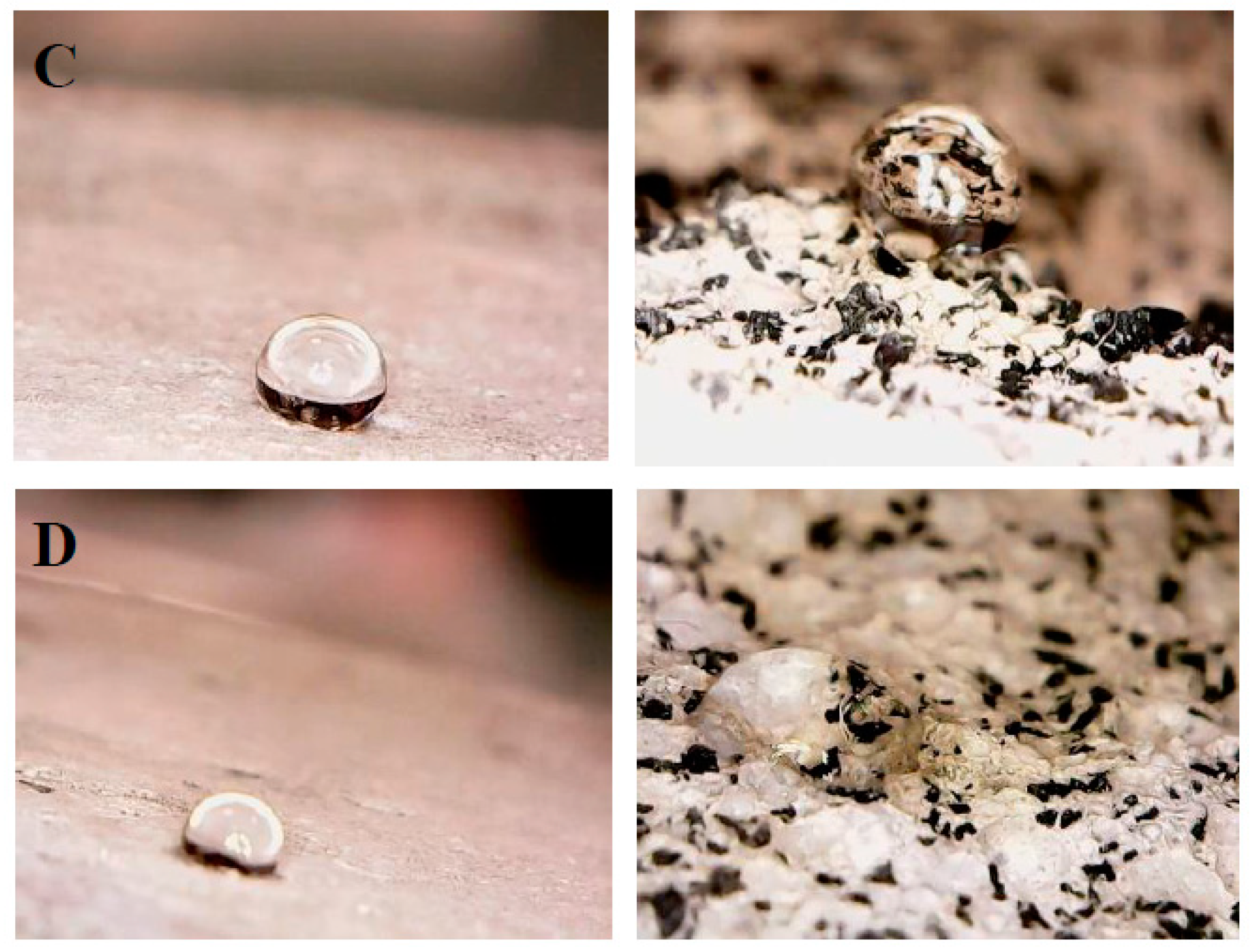 Materials 12 03289 g010b