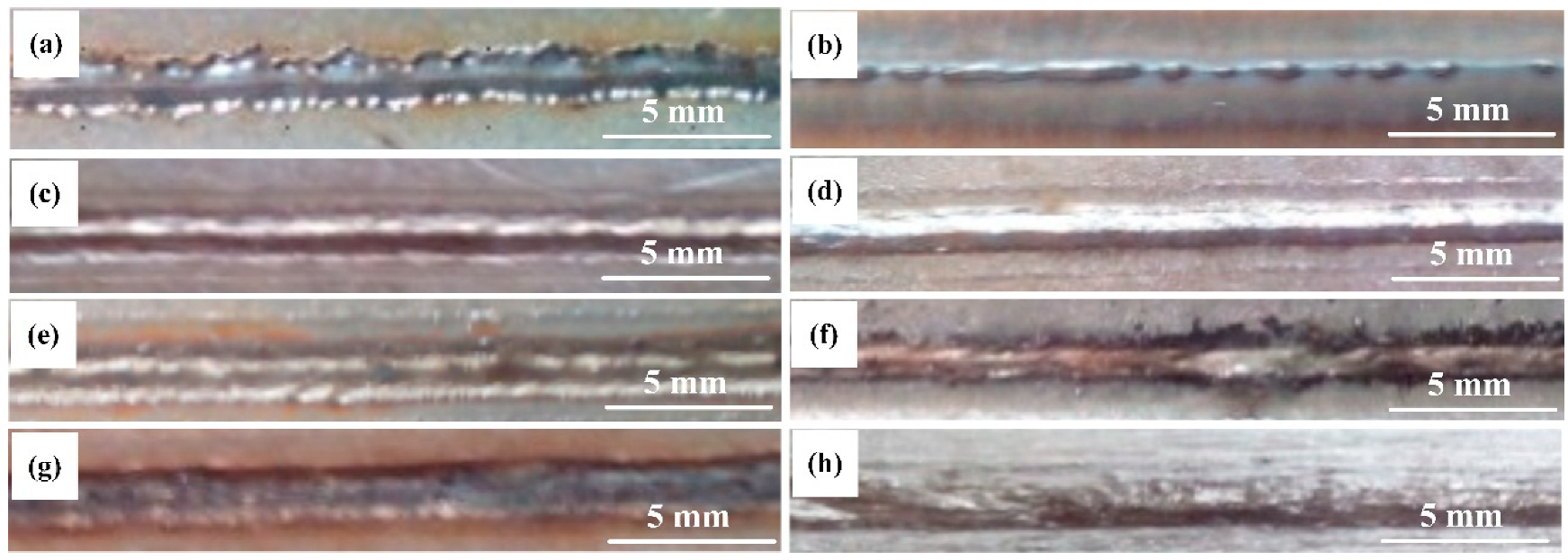 Materials 12 03294 g003