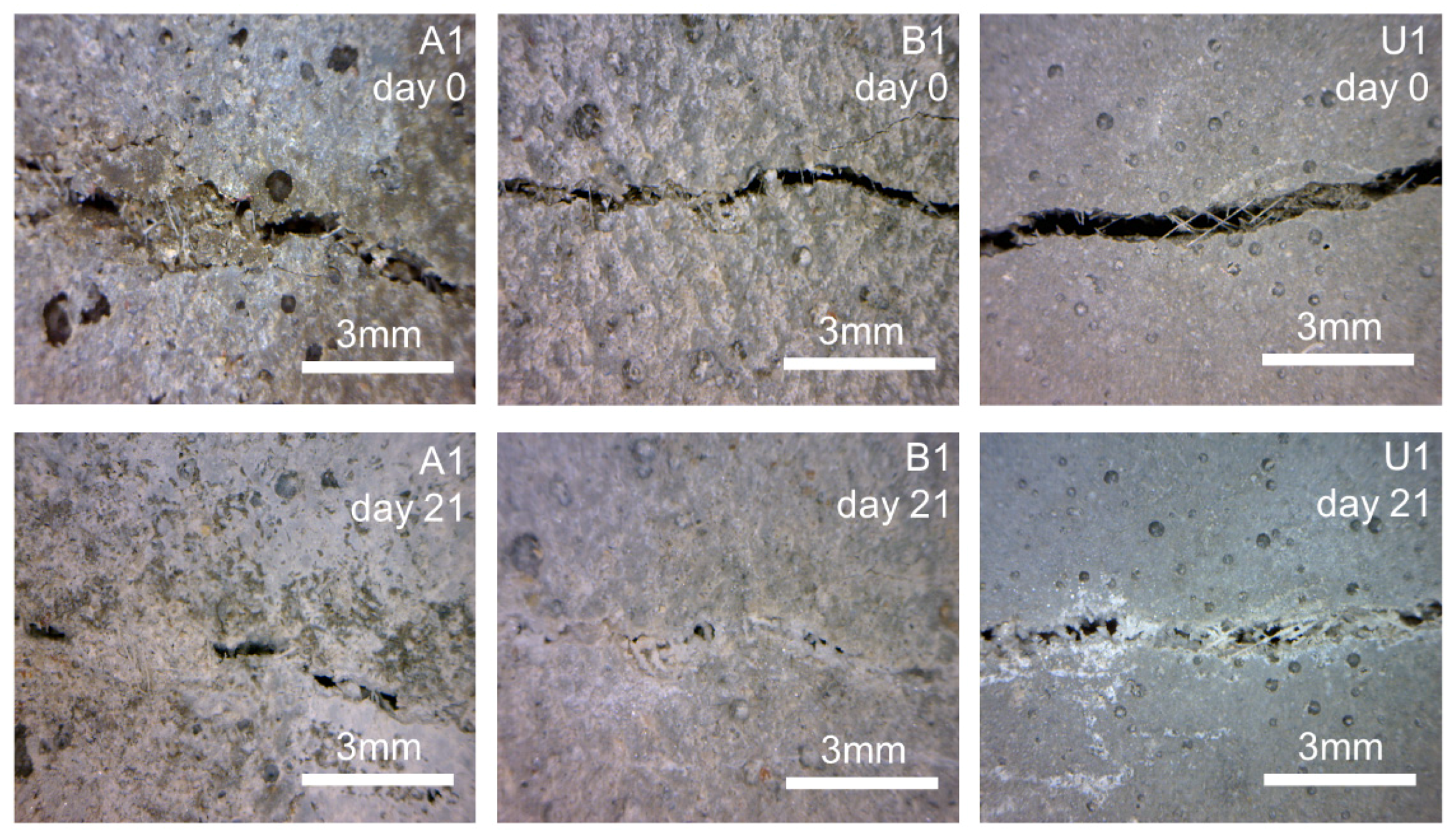 Materials 12 03298 g005 Materials 12 03298 g005