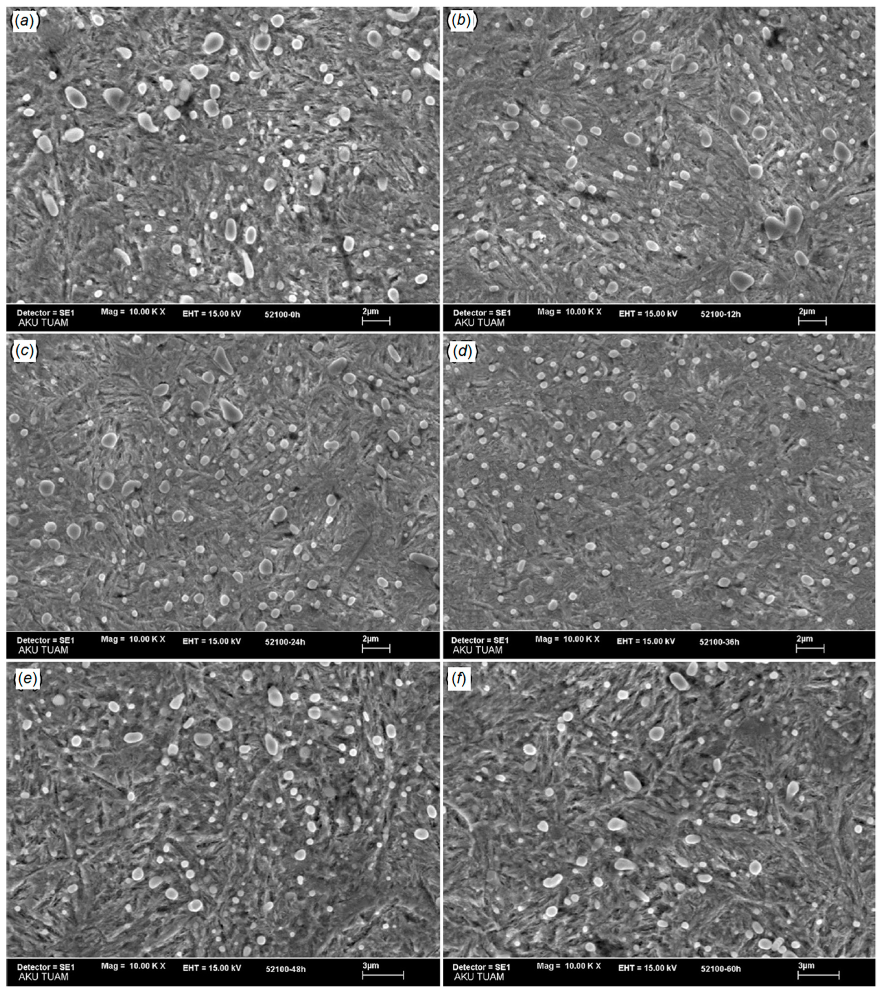 Materials 12 03302 g011