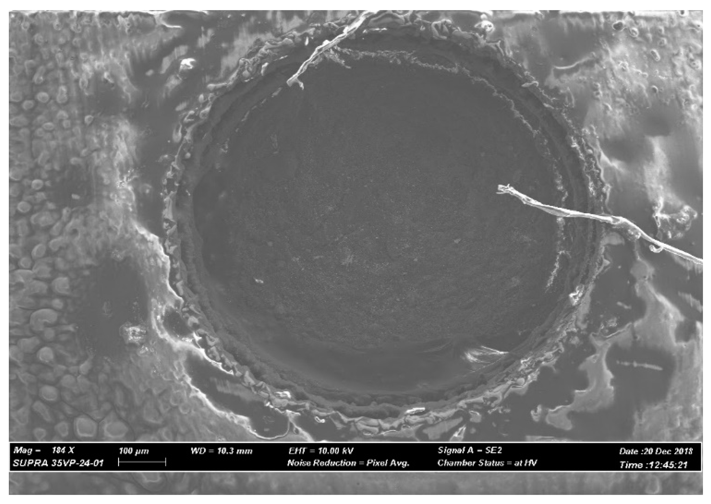 Materials 12 03316 g009