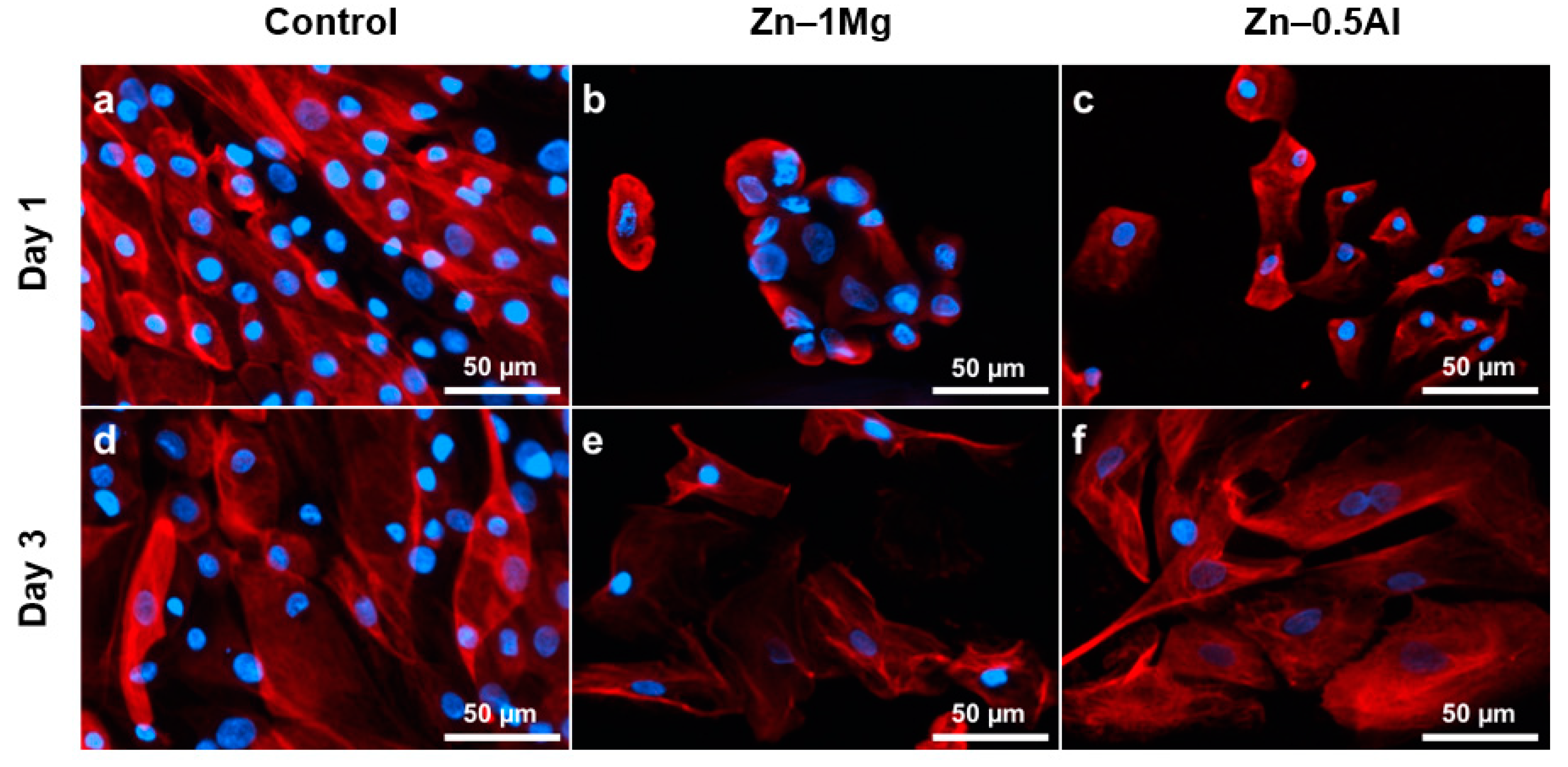 Materials 12 03325 g003
