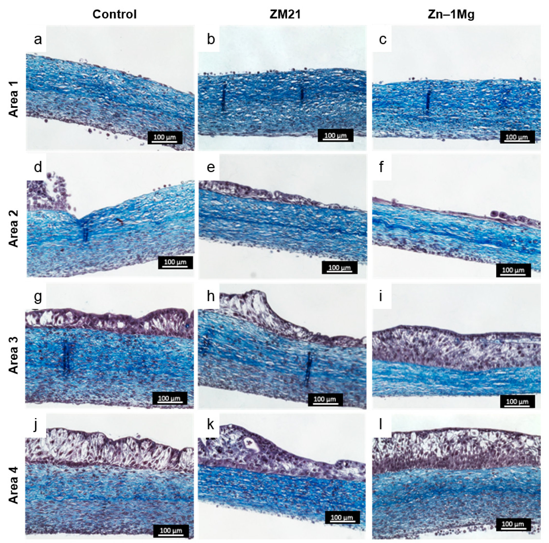 Materials 12 03325 g004