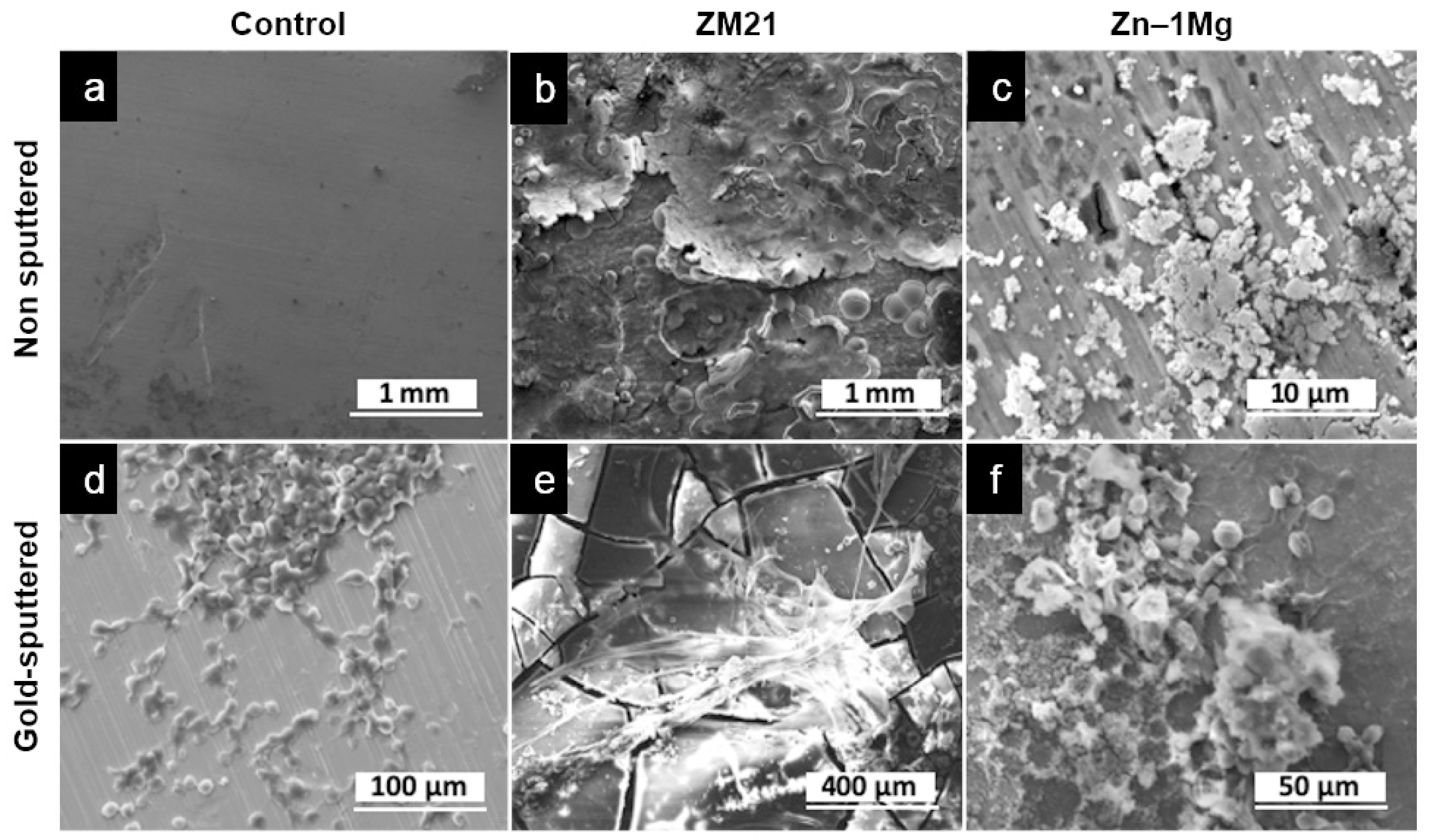 Materials 12 03325 g006