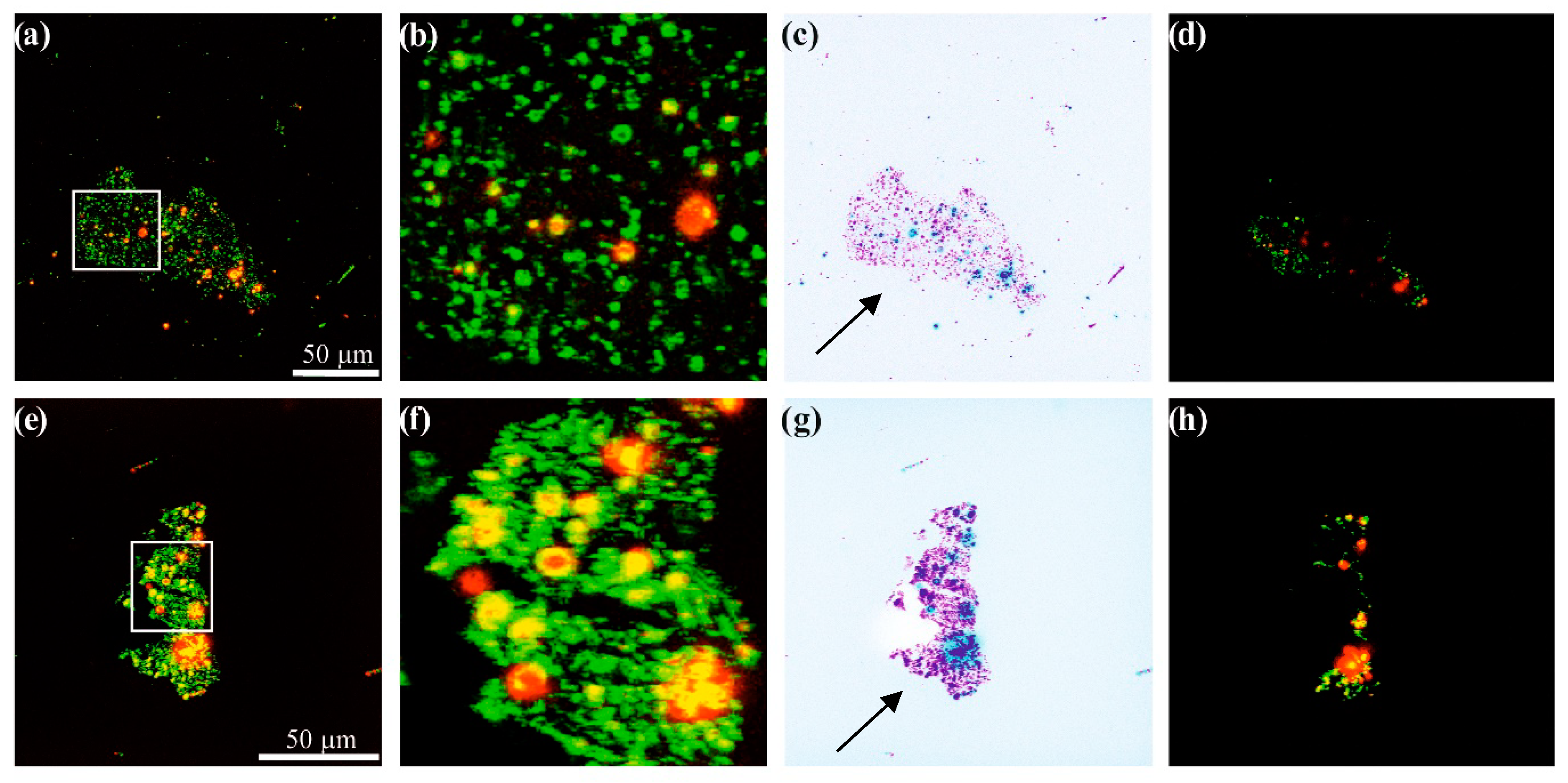 Materials 12 03354 g005 Materials 12 03354 g005