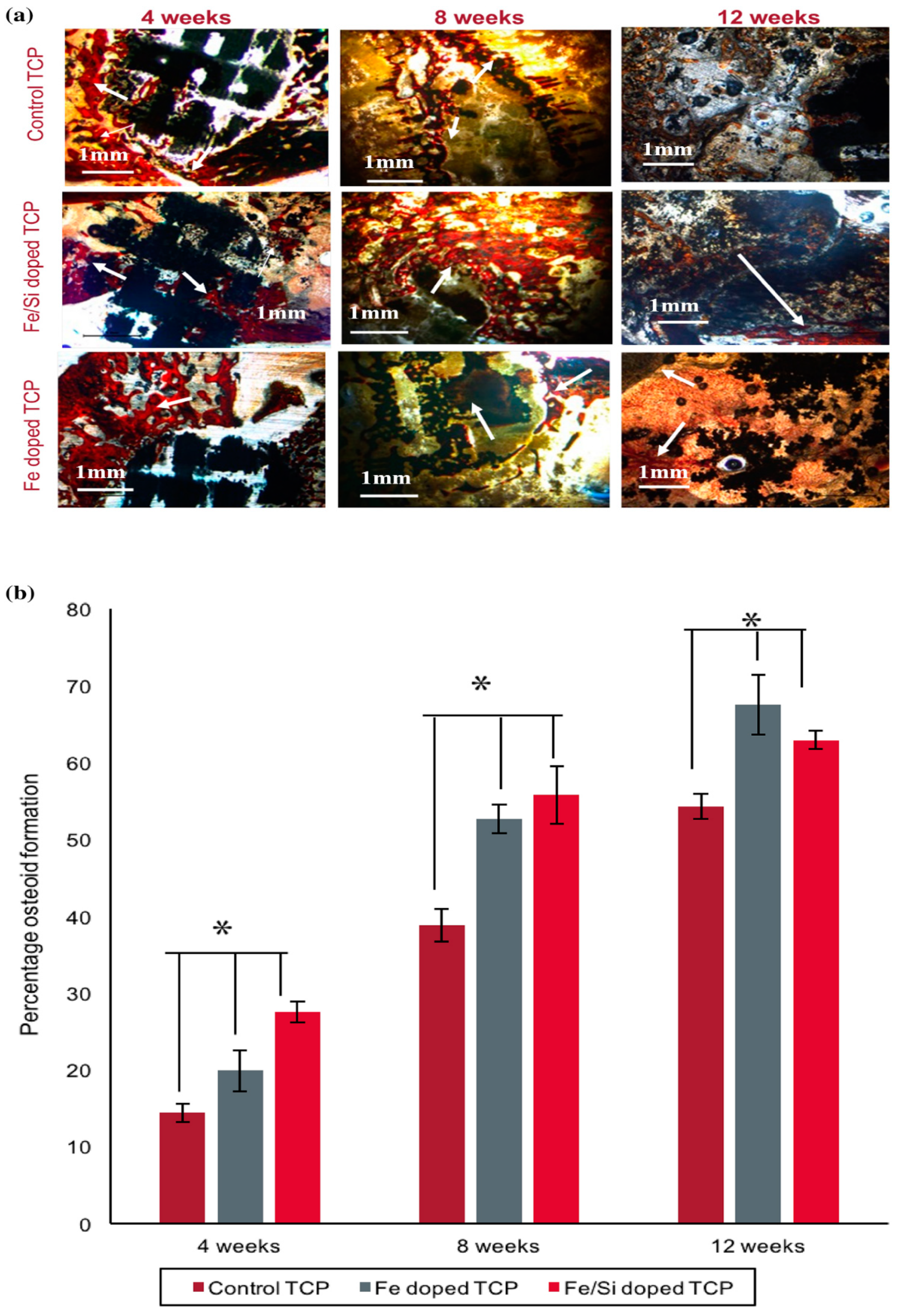 Materials 12 03361 g012