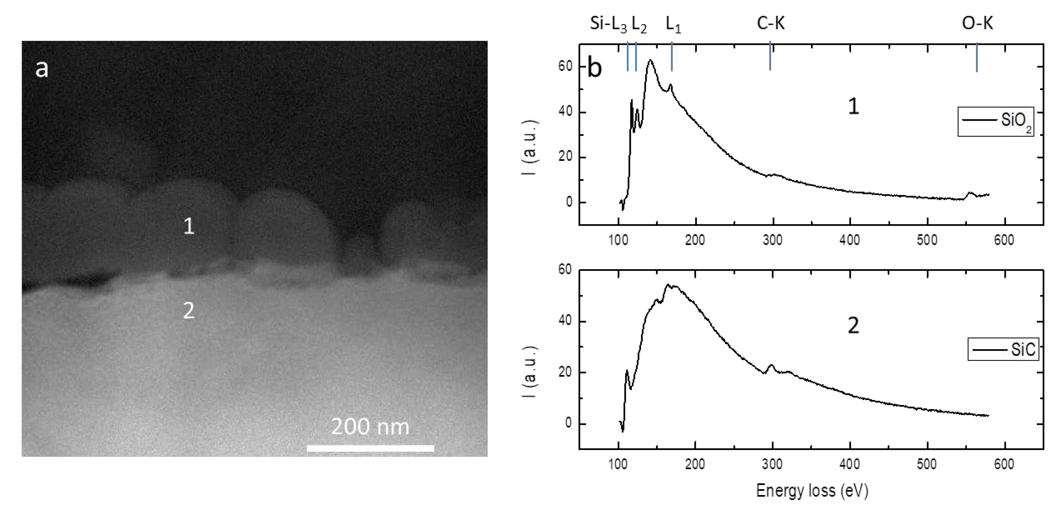 Materials 12 03362 g006