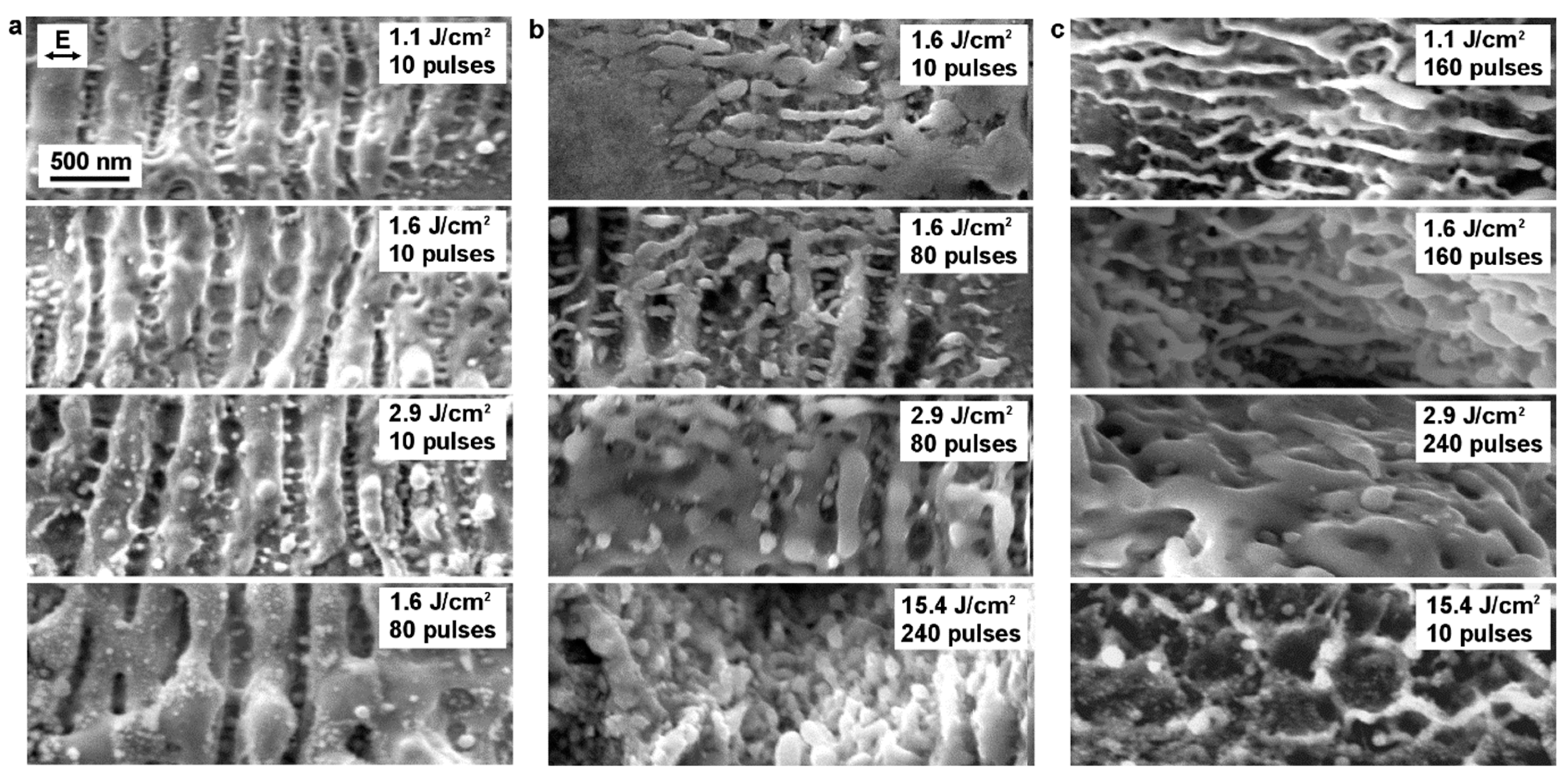 Materials 12 03409 g006