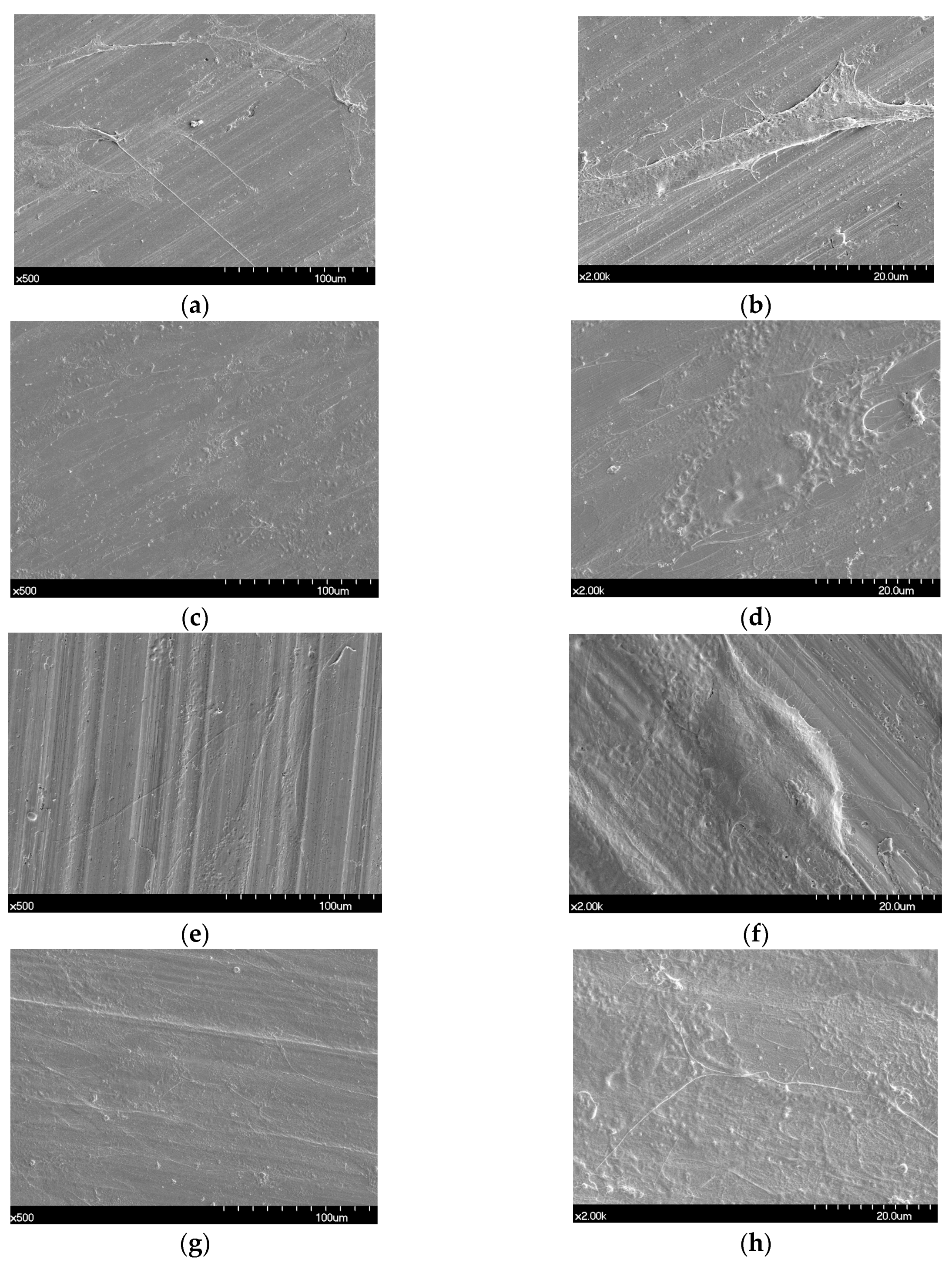 Materials 12 03419 g005 Materials 12 03419 g005